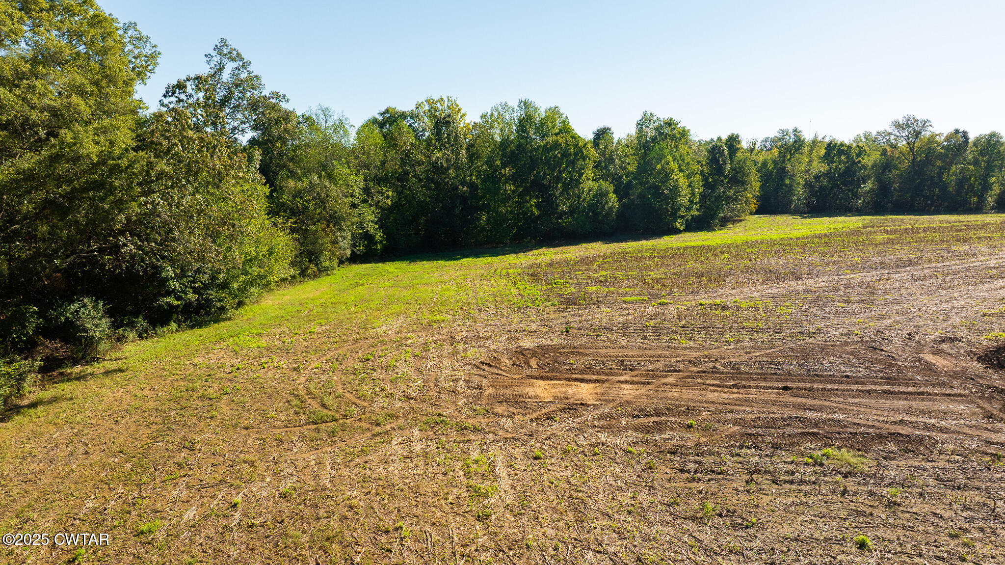 7 Hearn Road Greenfield, TN 38230 - Photo 5 of 13 a view of a yard with a house