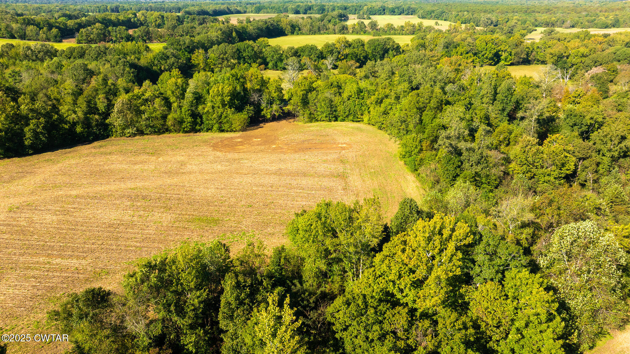 7 Hearn Road Greenfield, TN 38230 - Photo 6 of 13