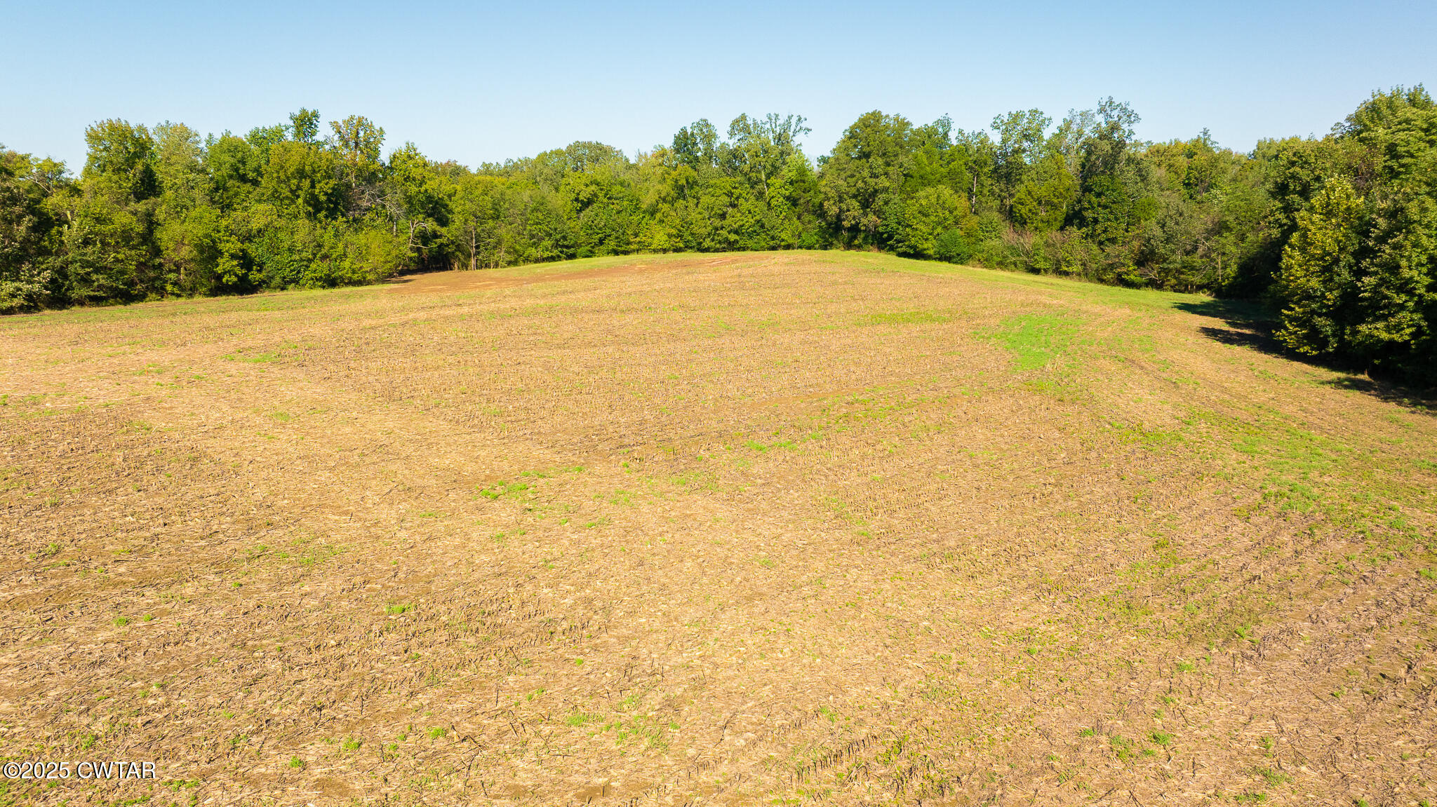 7 Hearn Road Greenfield, TN 38230 - Photo 7 of 13 a view of outdoor space and yard