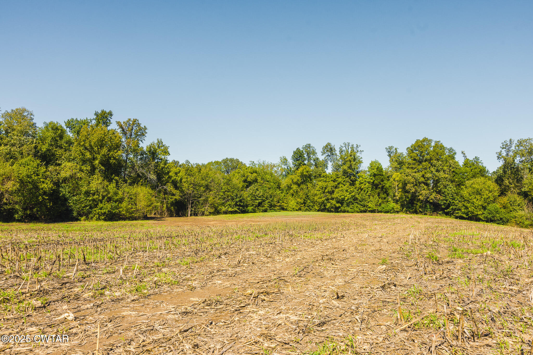 7 Hearn Road Greenfield, TN 38230 - Photo 9 of 13 a view of an ocean