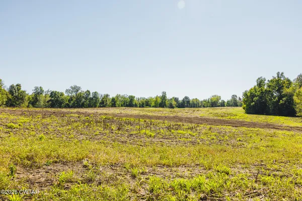 a view of a yard with trees