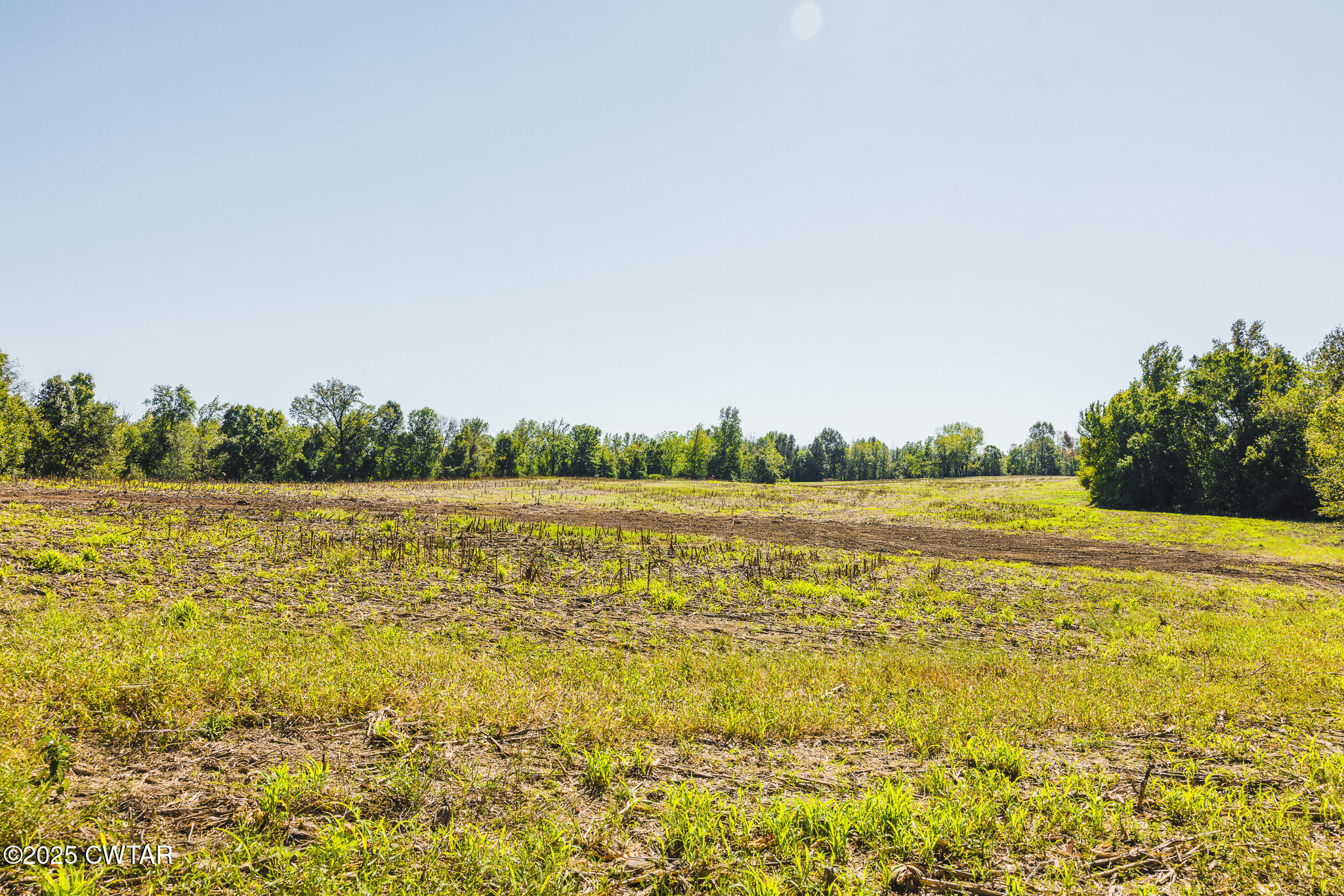 7 Hearn Road Greenfield, TN 38230 - Photo 10 of 13 a view of a lake view