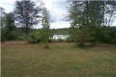 6538 South Derby Road, Unit A Sheridan, MI 48884 - Photo 1 of 1 Primary Photo