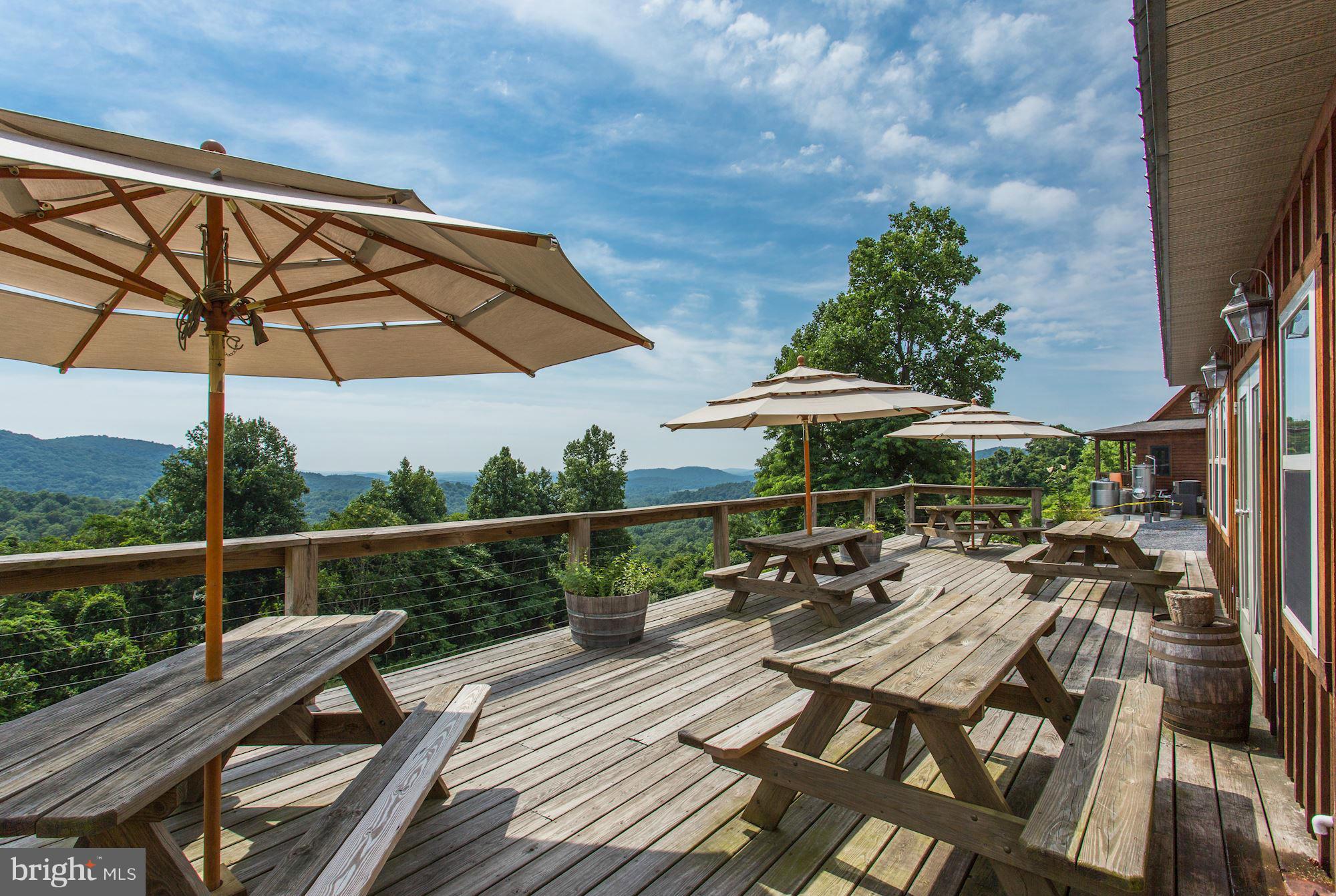 4615 Remount Road Huntly, VA 22640 - Photo 11 of 30 a view of balcony with wooden floor and outdoor seating