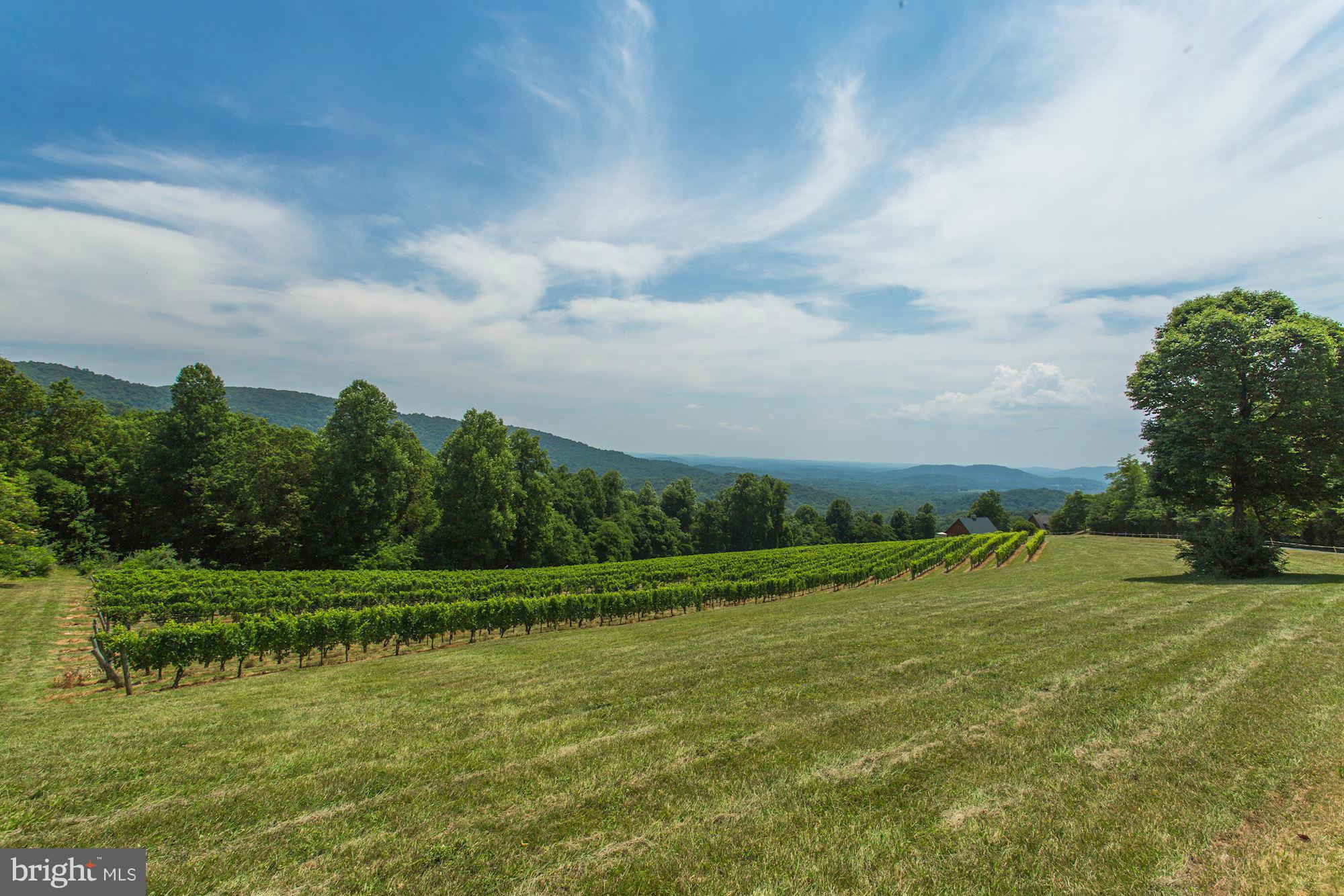 4615 Remount Road Huntly, VA 22640 - Photo 21 of 30 a view of a golf course with a lake