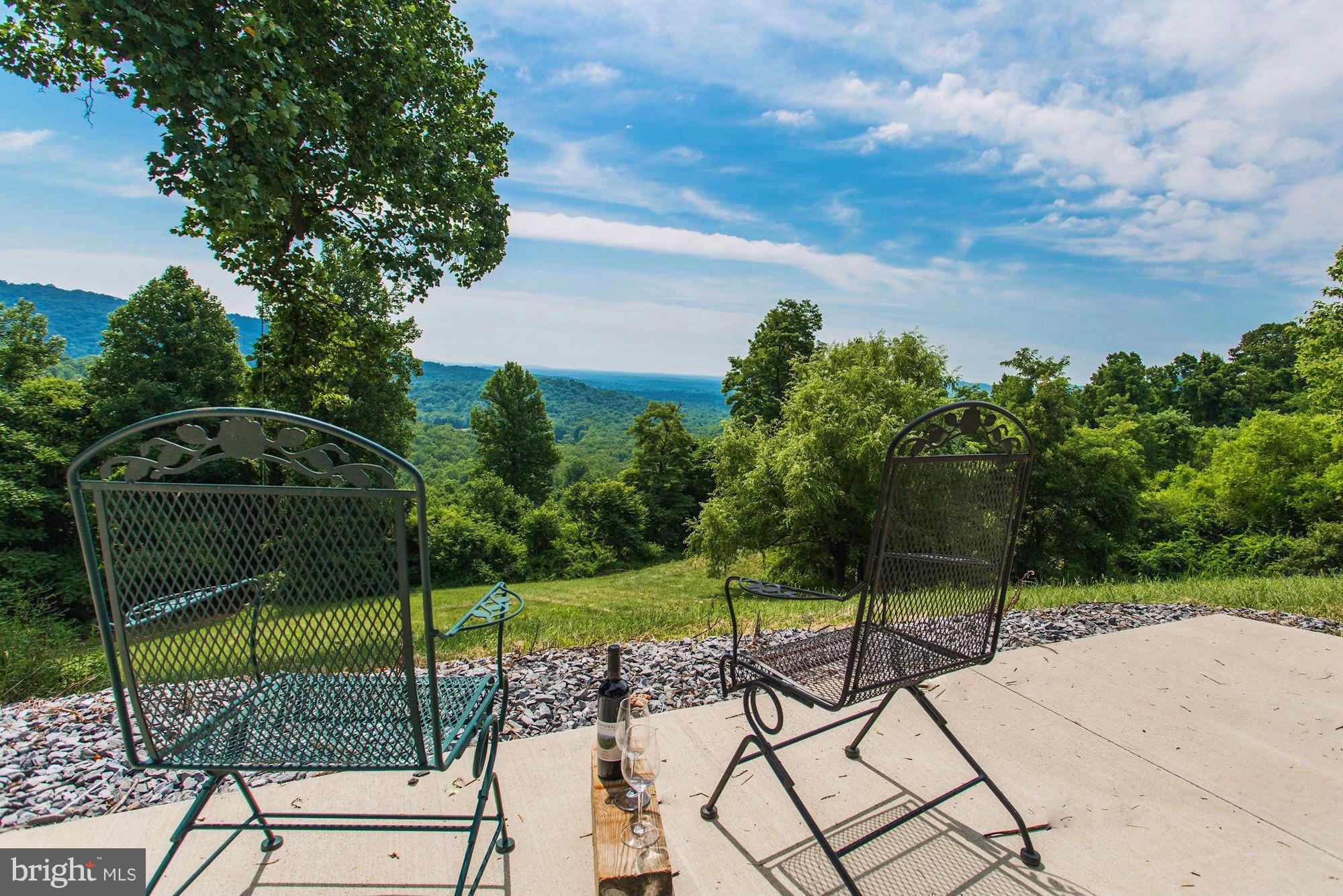 4615 Remount Road Huntly, VA 22640 - Photo 28 of 30 a view of a chair and tables in the patio