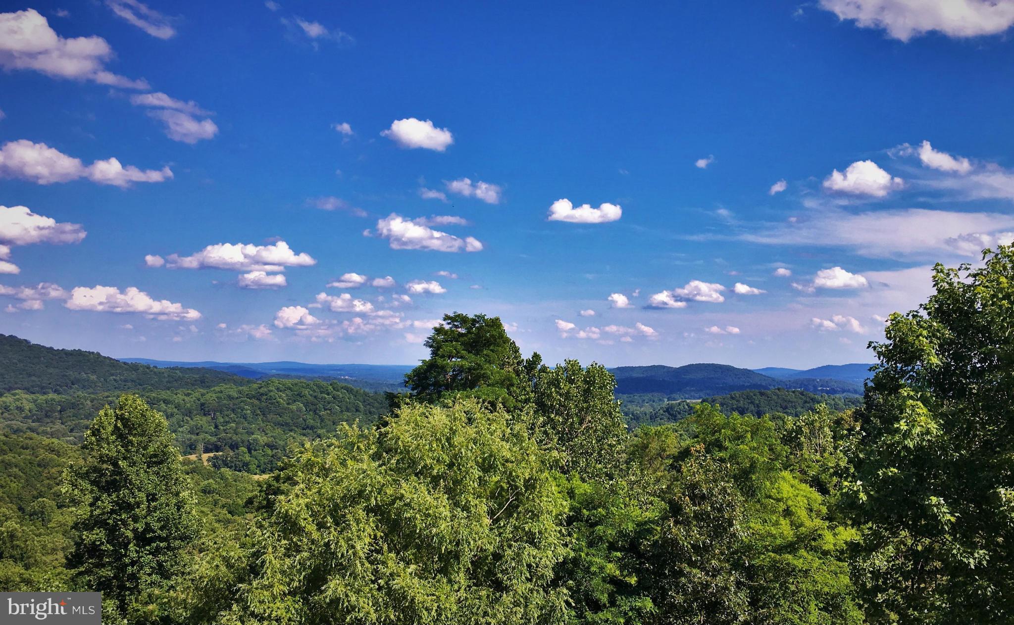 4615 Remount Road Huntly, VA 22640 - Photo 29 of 30 a view of a big yard