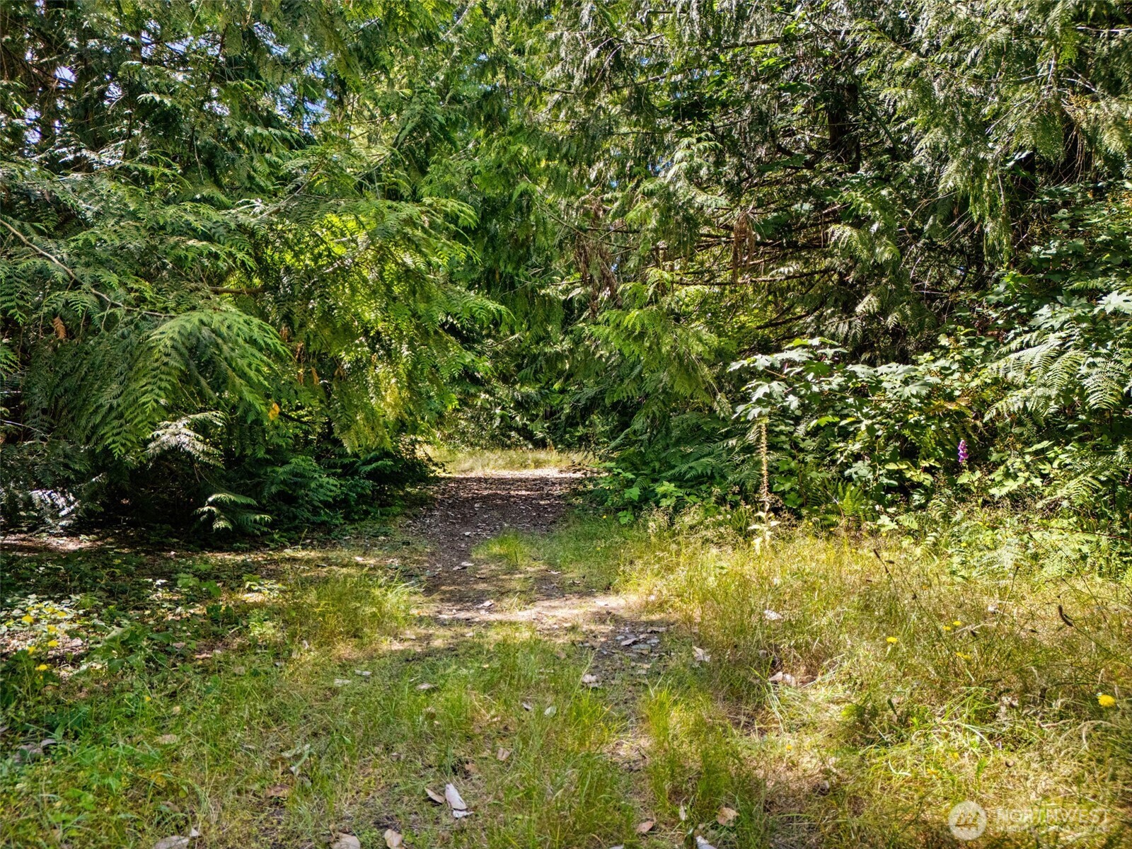 0 Rouse Road Southwest Longbranch, WA 98351 - Photo 7 of 20 Gallery Image 7