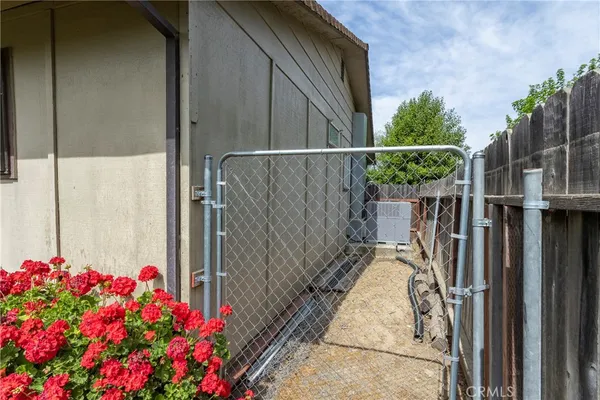 a view of small garden