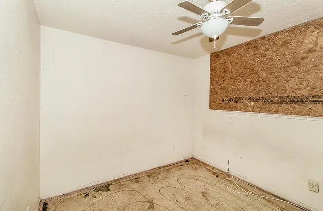 a view of a yard with plants and trees