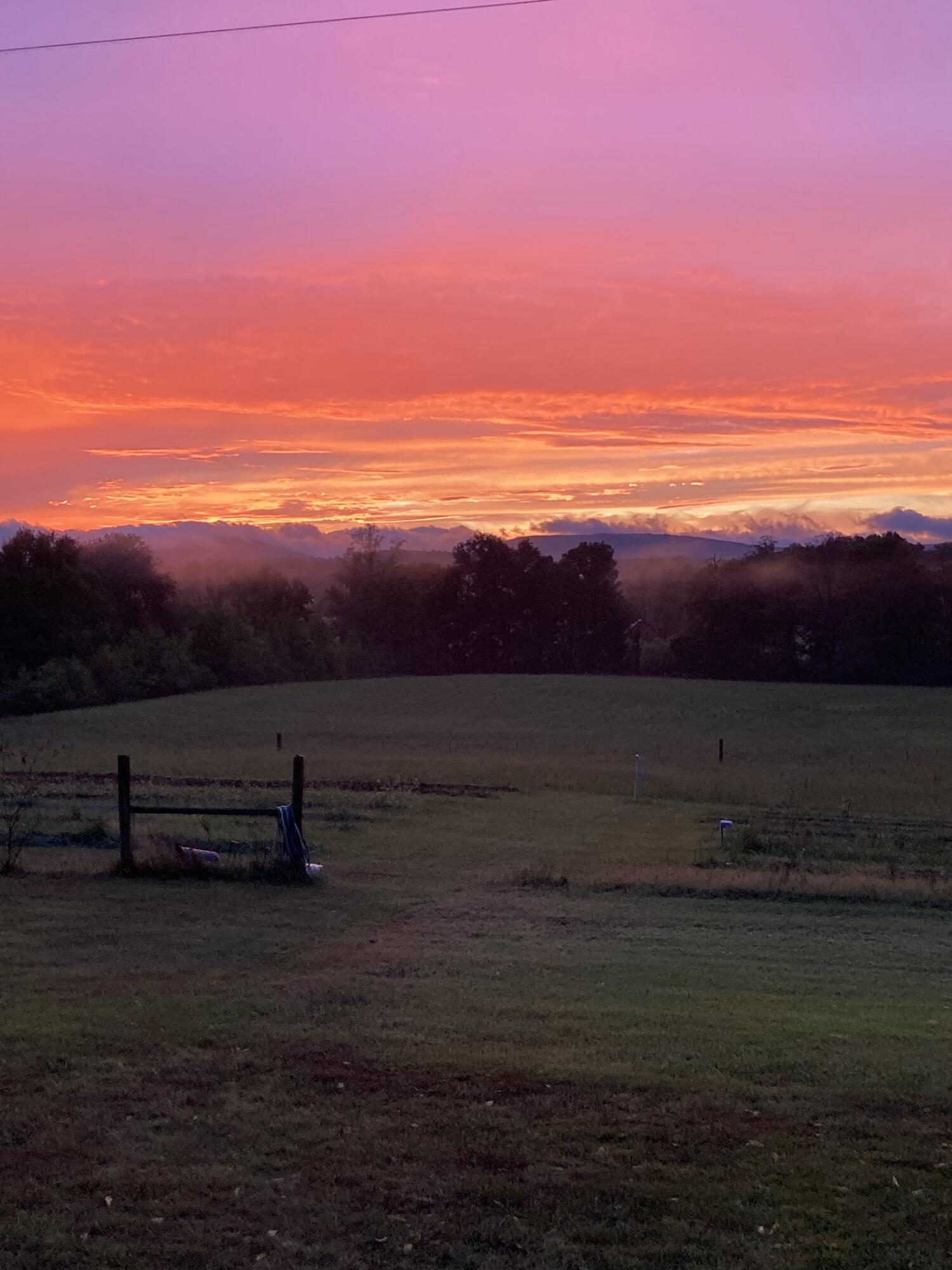 517 Possum Trot Road Grandview, TN 37337 - Photo 2 of 69 IMG_1693