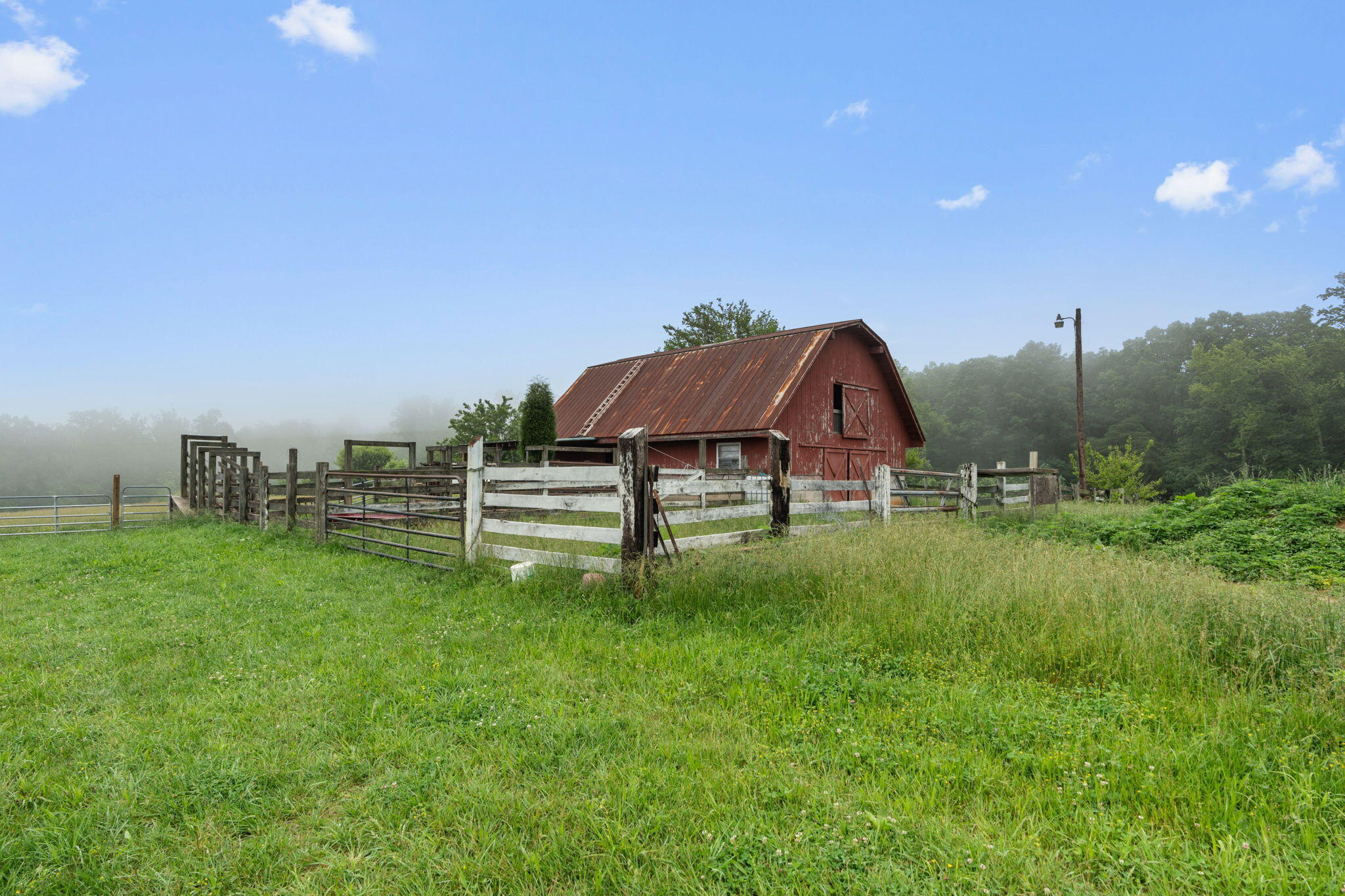 517 Possum Trot Road Grandview, TN 37337 - Photo 4 of 69 52-web-or-mls-517 Possom Trot-Tori Roger