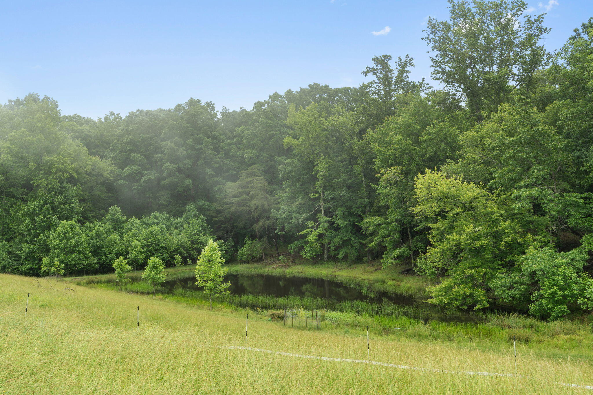 517 Possum Trot Road Grandview, TN 37337 - Photo 5 of 69 55-web-or-mls-517 Possom Trot-Tori Roger