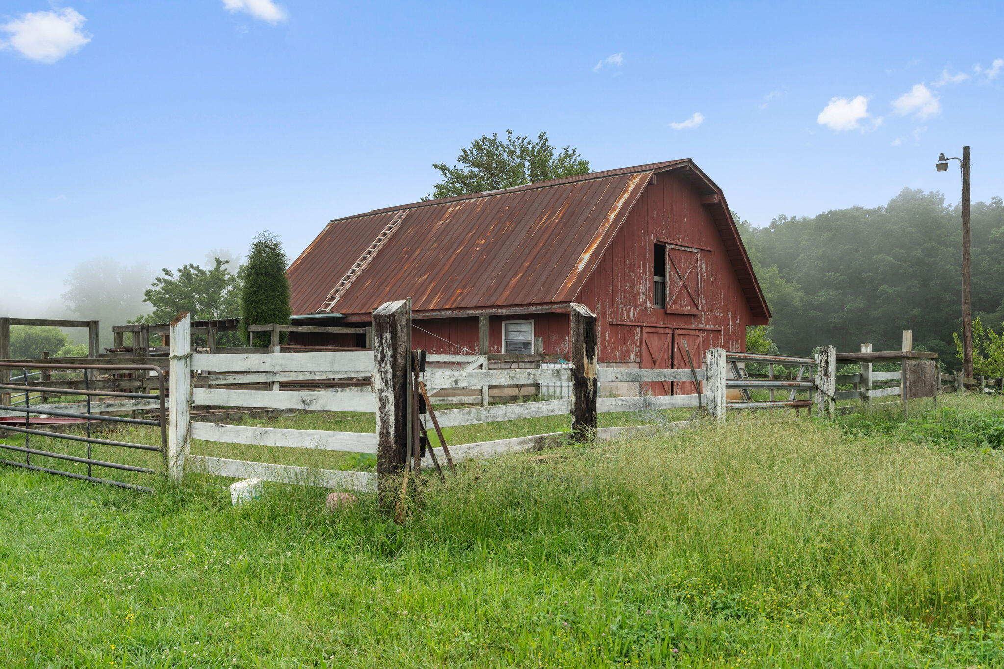 517 Possum Trot Road Grandview, TN 37337 - Photo 60 of 69 53-web-or-mls-517 Possom Trot-Tori Roger