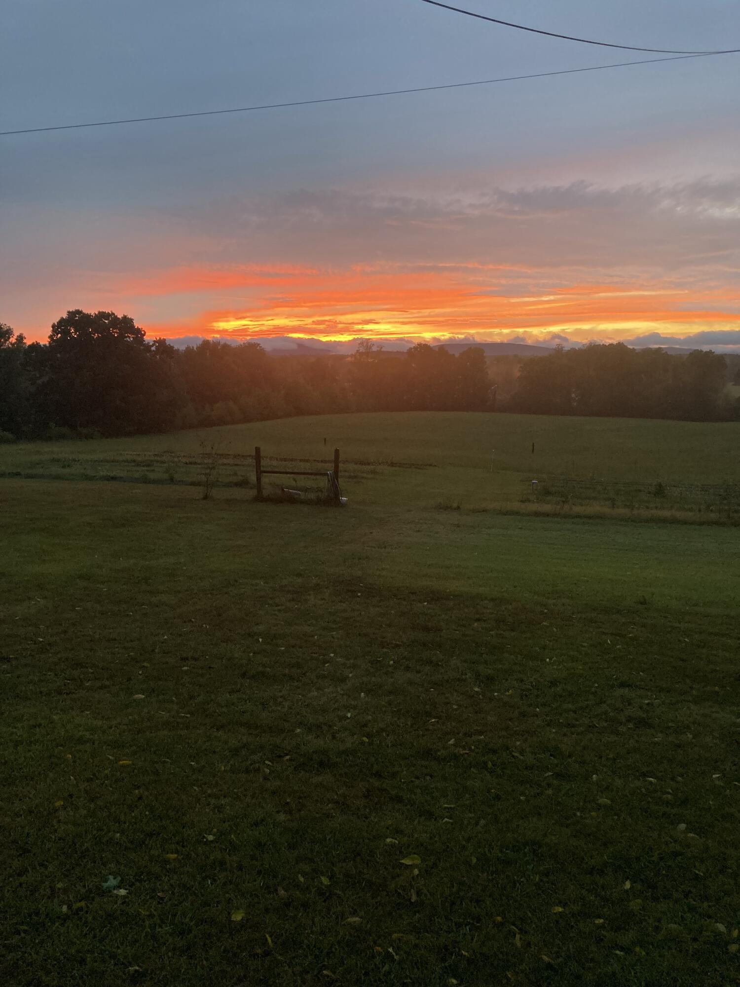 517 Possum Trot Road Grandview, TN 37337 - Photo 65 of 69 IMG_1696