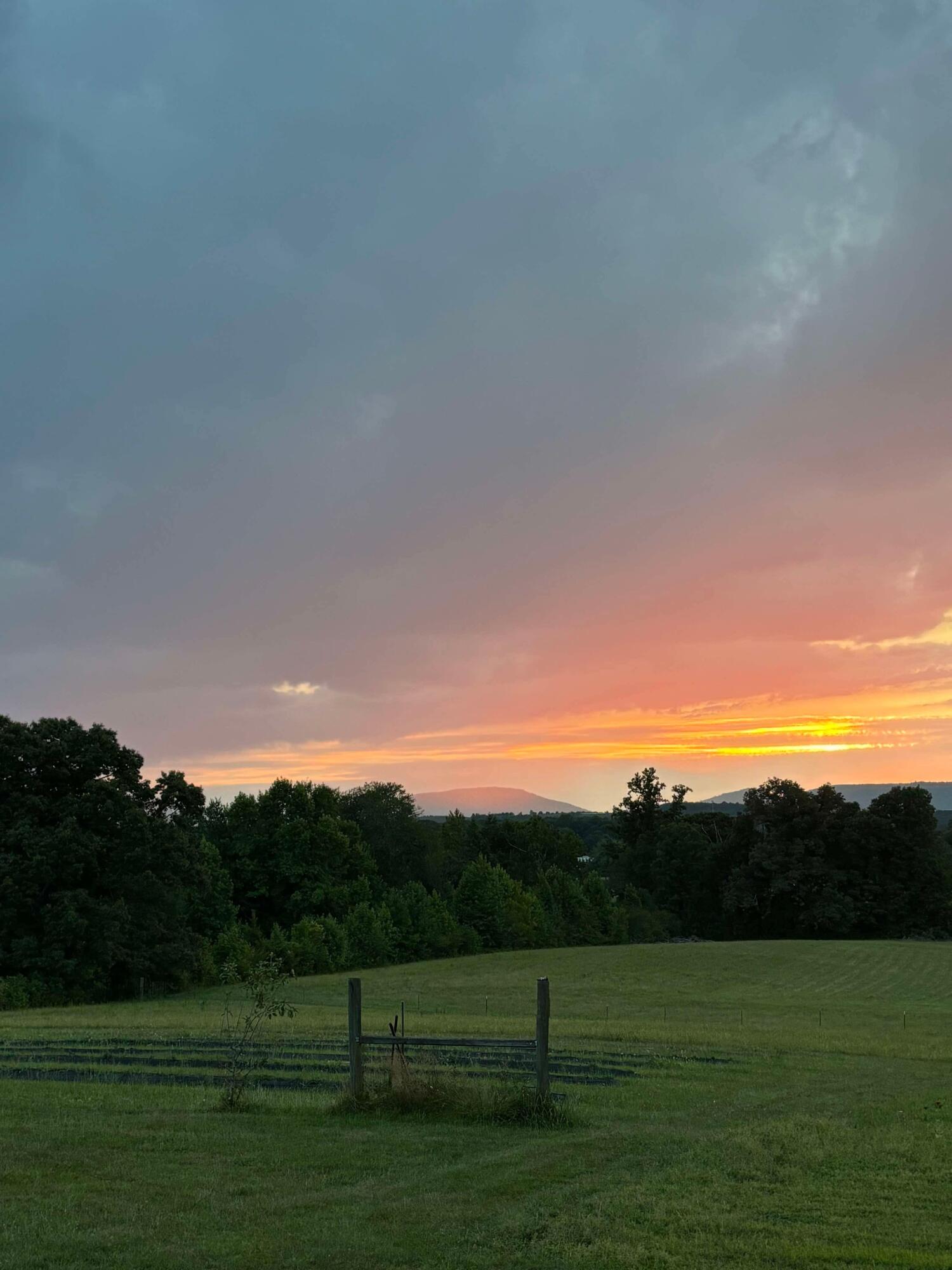 517 Possum Trot Road Grandview, TN 37337 - Photo 66 of 69 Image-1 (2)