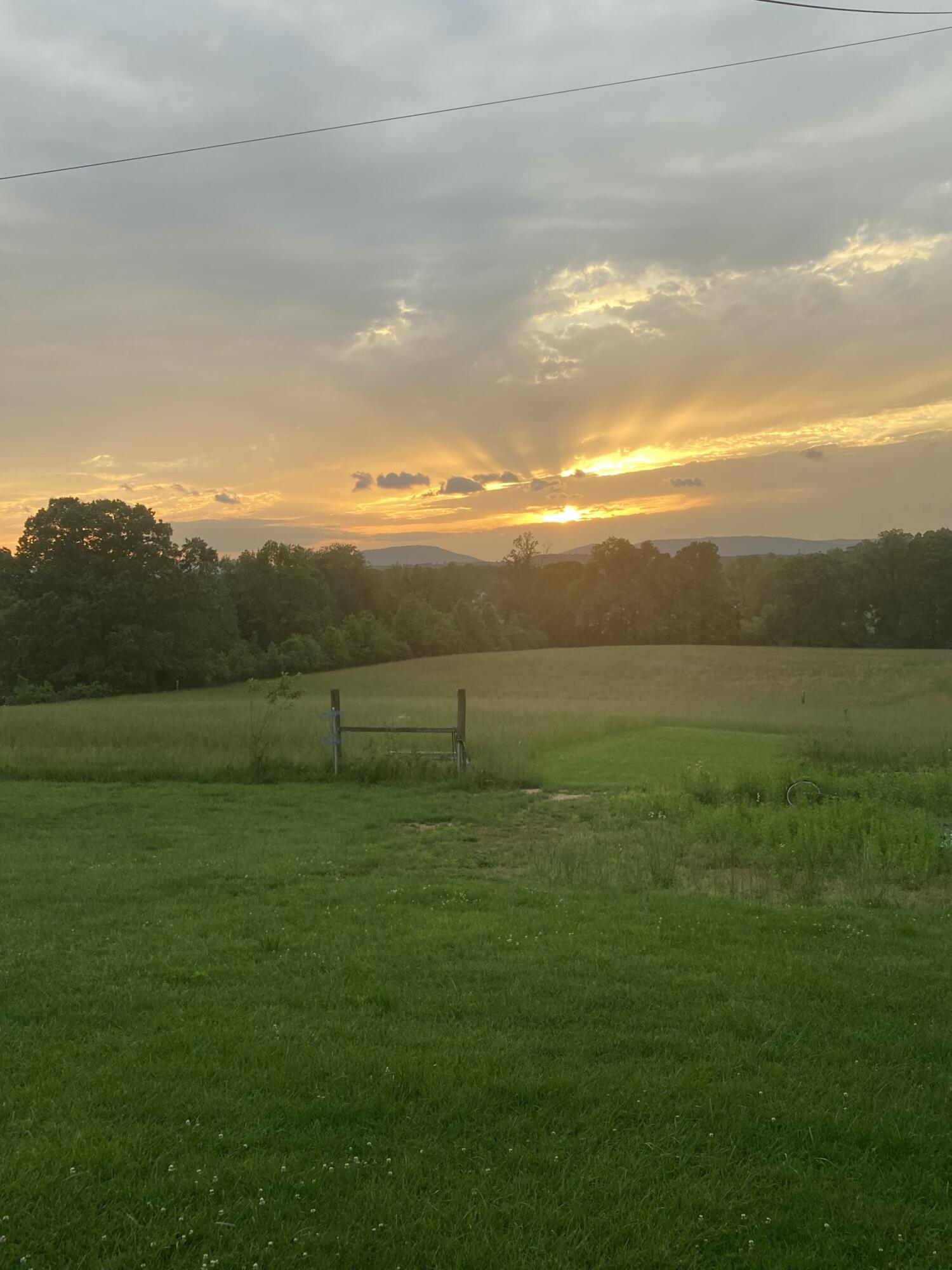 517 Possum Trot Road Grandview, TN 37337 - Photo 67 of 69 IMG_1990