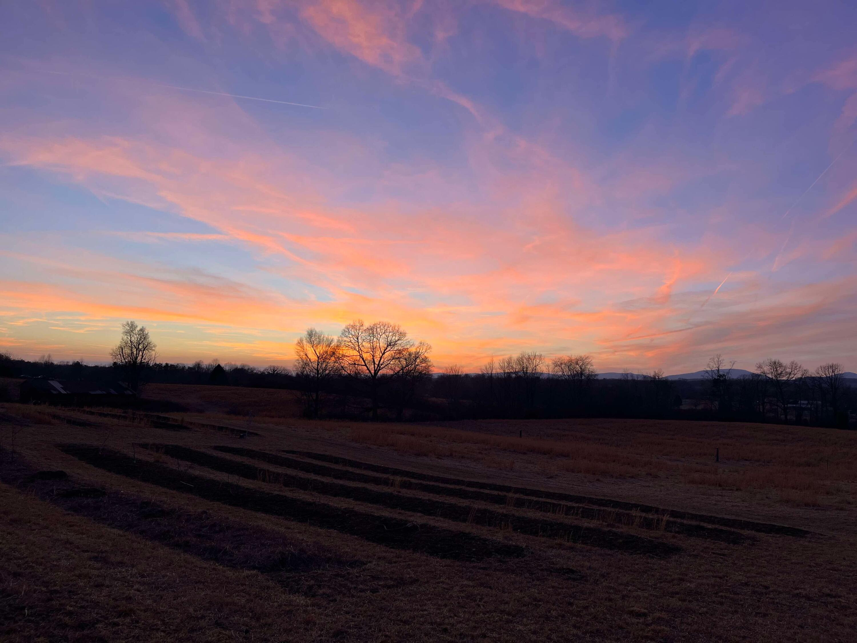 517 Possum Trot Road Grandview, TN 37337 - Photo 68 of 69 Image-1