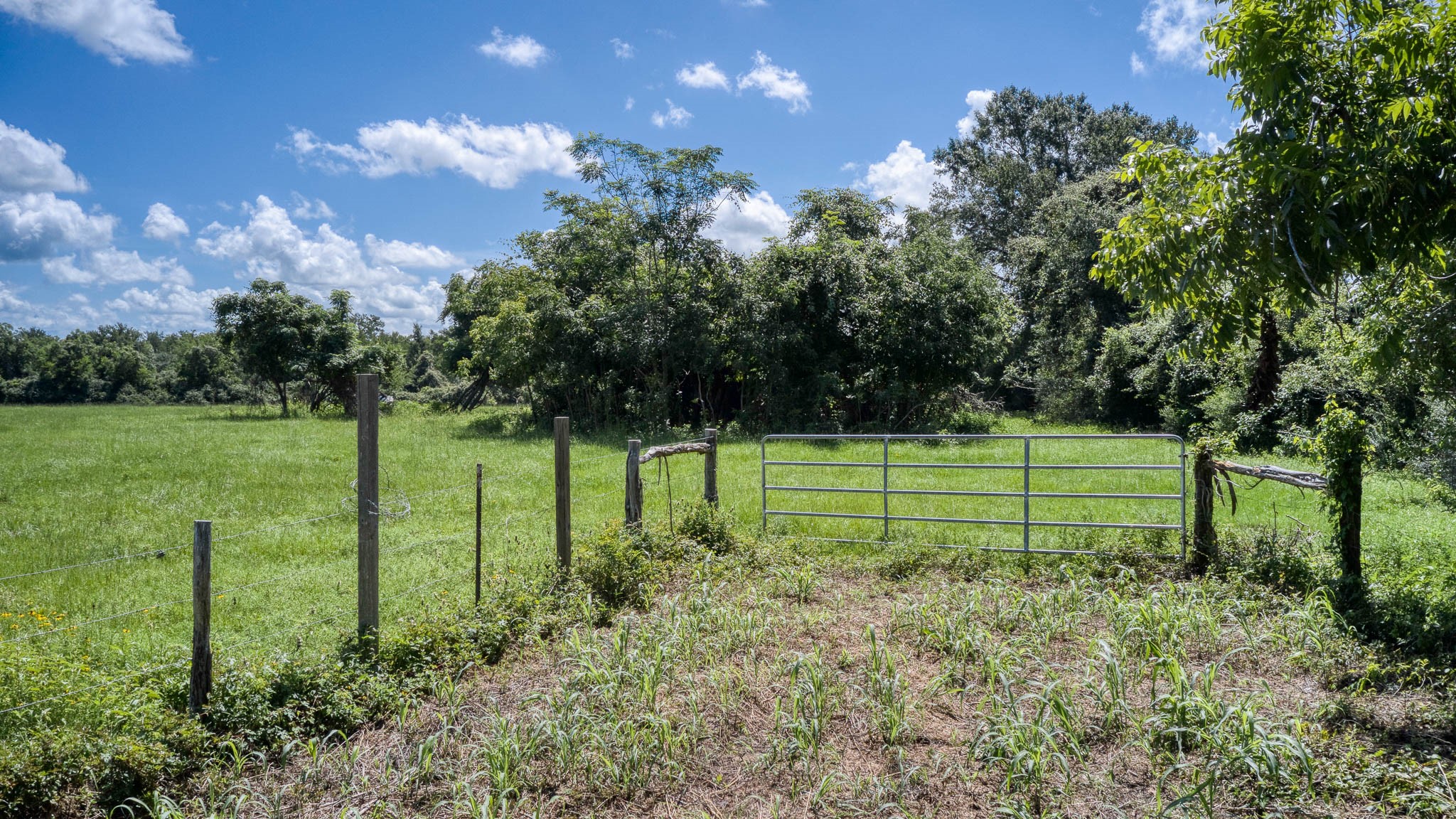 Tbd Holik Road Hempstead, TX 77445 - Photo 19 of 50