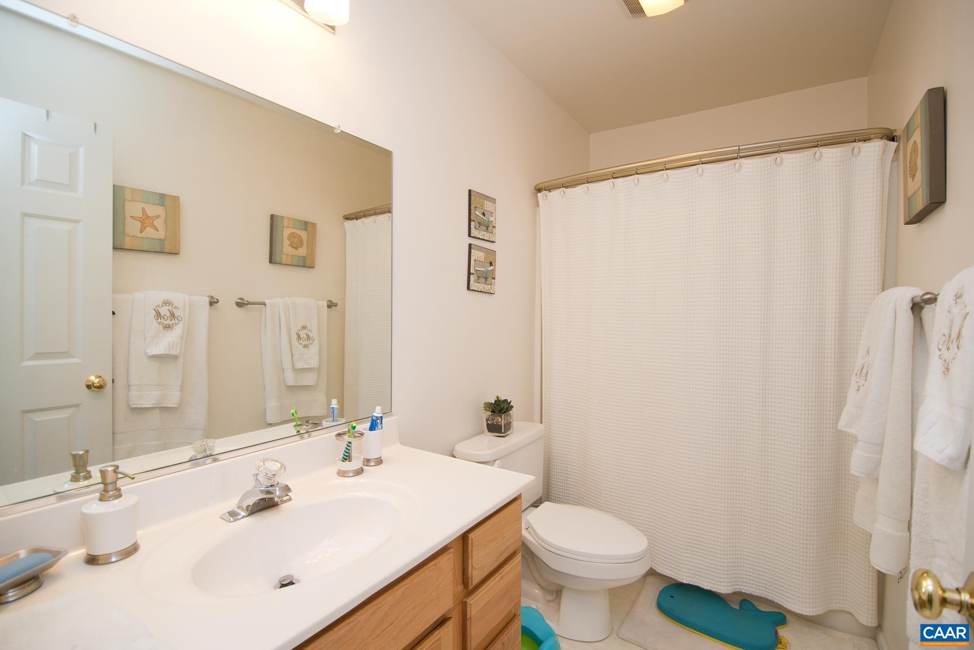 2986 Magnolia Bend Charlottesville, VA 22911 - Photo 17 of 22 a bathroom with a sink toilet and shower