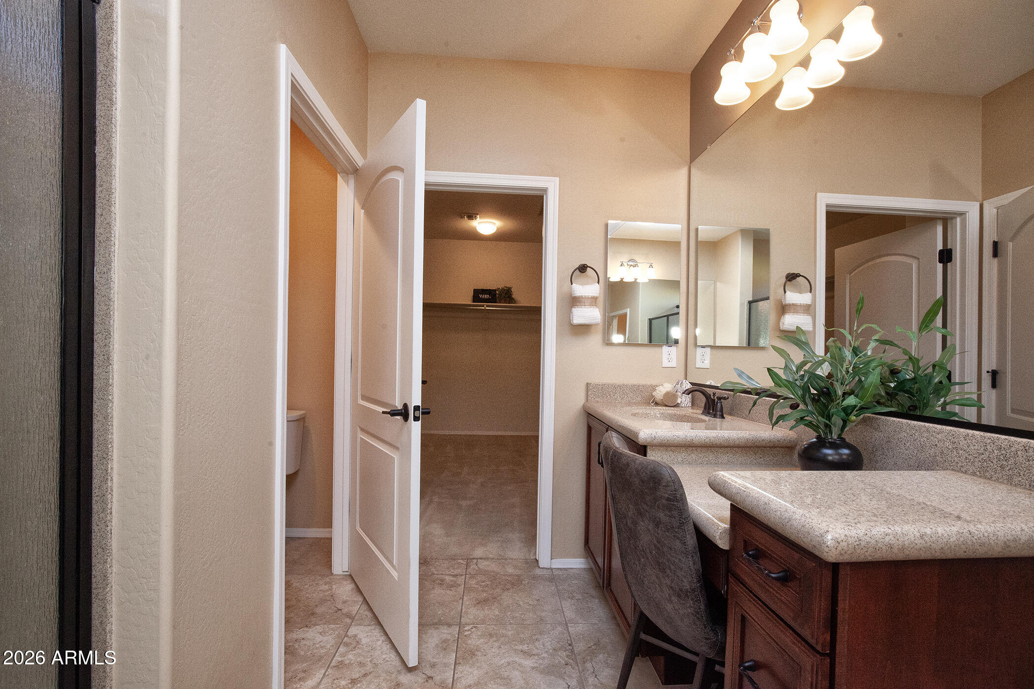 26725 West Marco Polo Road Buckeye, AZ 85396 - Photo 42 of 68 IMG_4803 copy