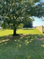 3602 Hazel Godwin Road Jay, FL 32565 - Photo 6 of 46 a view of yard with swimming pool and trees in the background