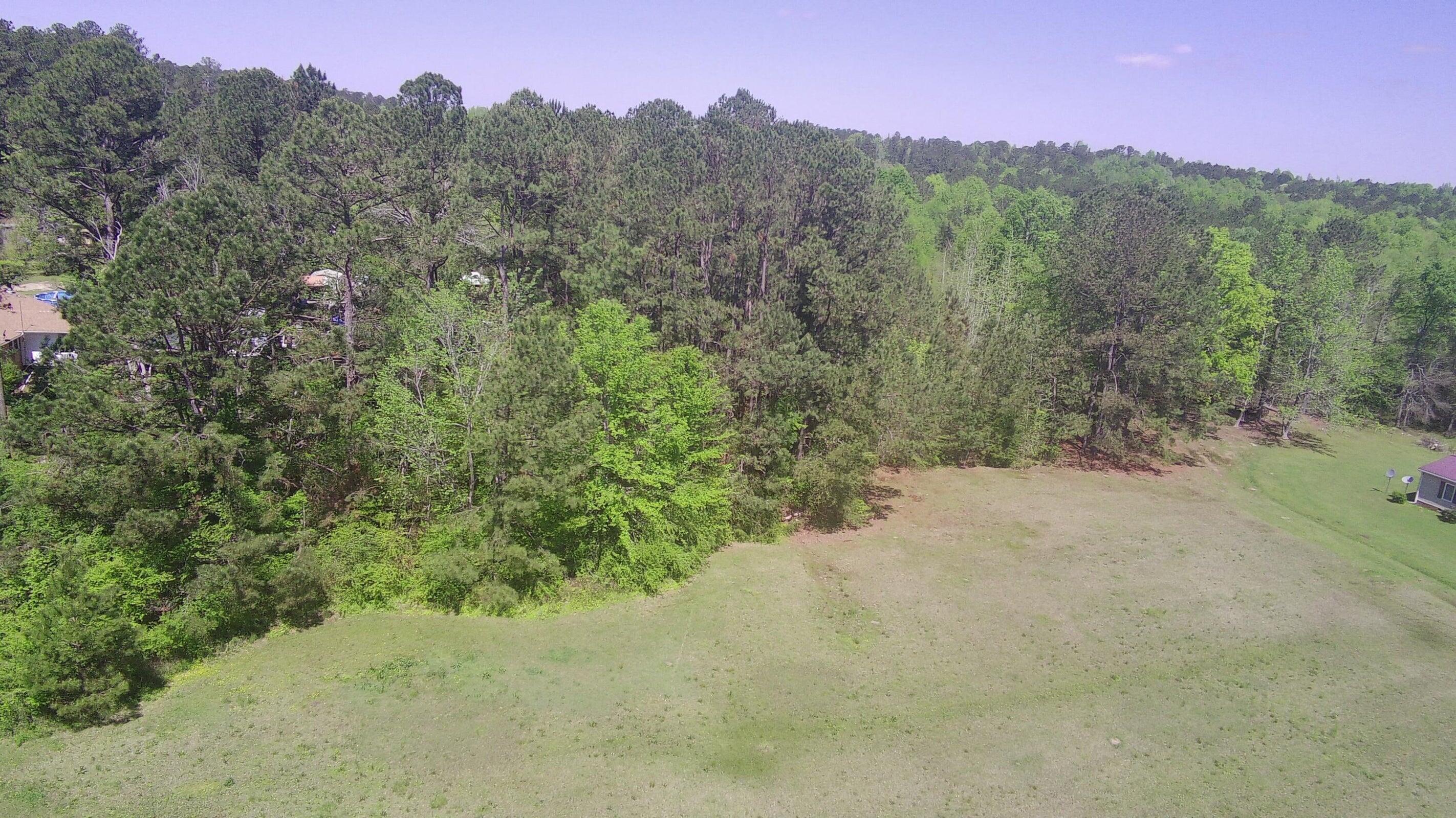 0 Ebony Road McCormick, SC 29835 - Photo 4 of 9 20250409213620082011000000-o