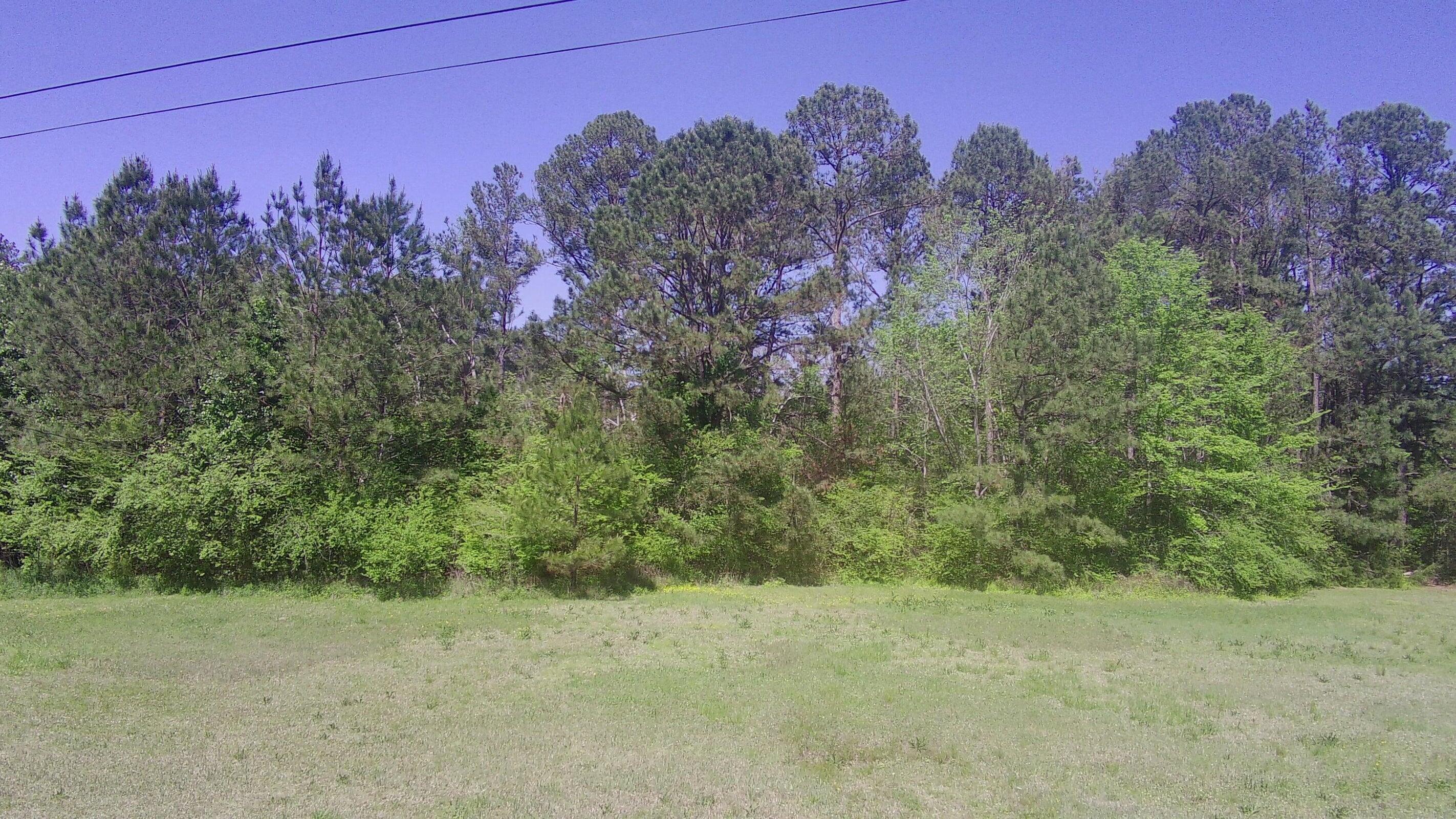 0 Ebony Road McCormick, SC 29835 - Photo 5 of 9 20250409213640557346000000-o