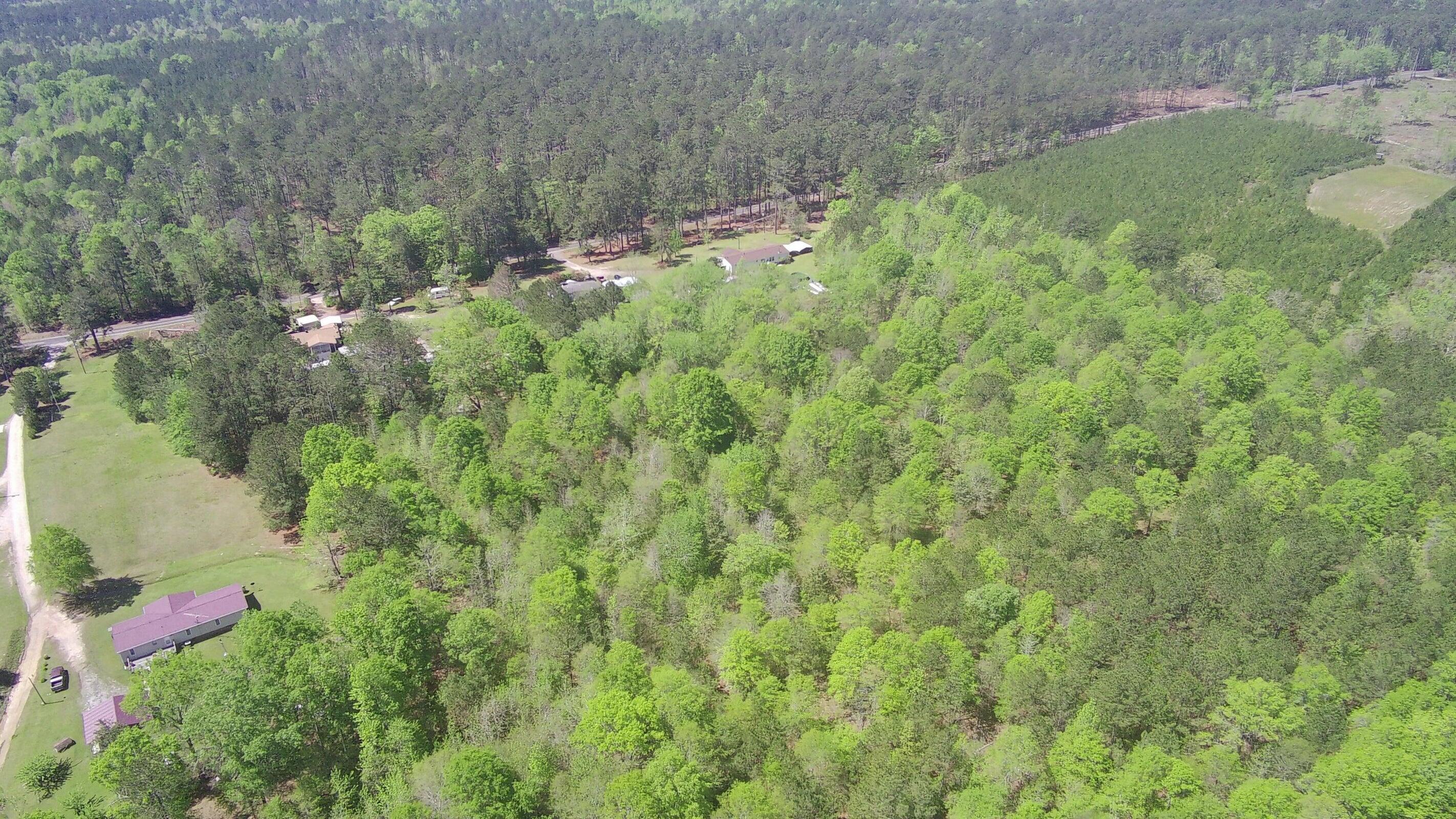 0 Ebony Road McCormick, SC 29835 - Photo 6 of 9 20250411102431019460000000-o