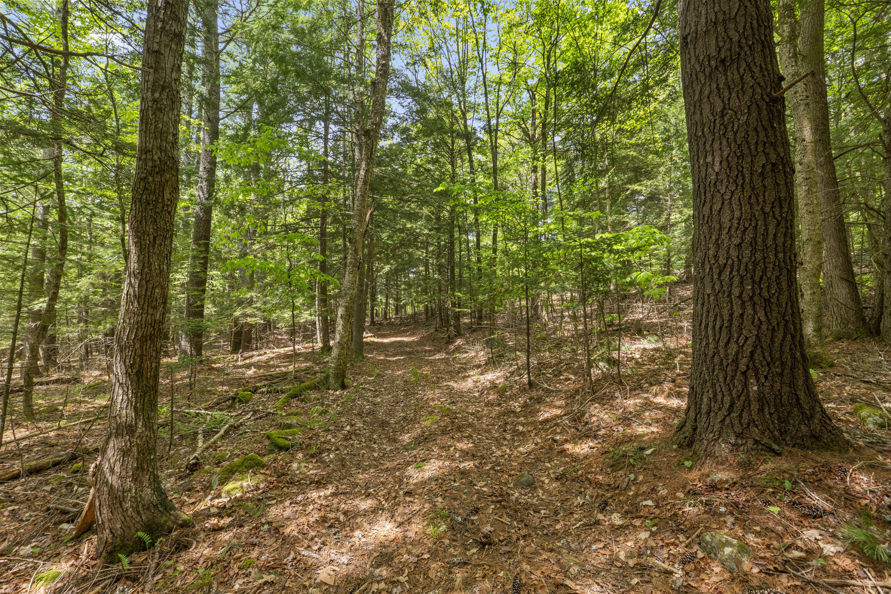 181 Blodgett Road Pittston, ME 04345 - Photo 49 of 64 181 Blodgett Rd_166