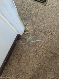 3013 Mackin Road Flint, MI 48504 - Photo 15 of 16 MEf53fa34cec7a7f5861b9cd26b4d6d274.jpg