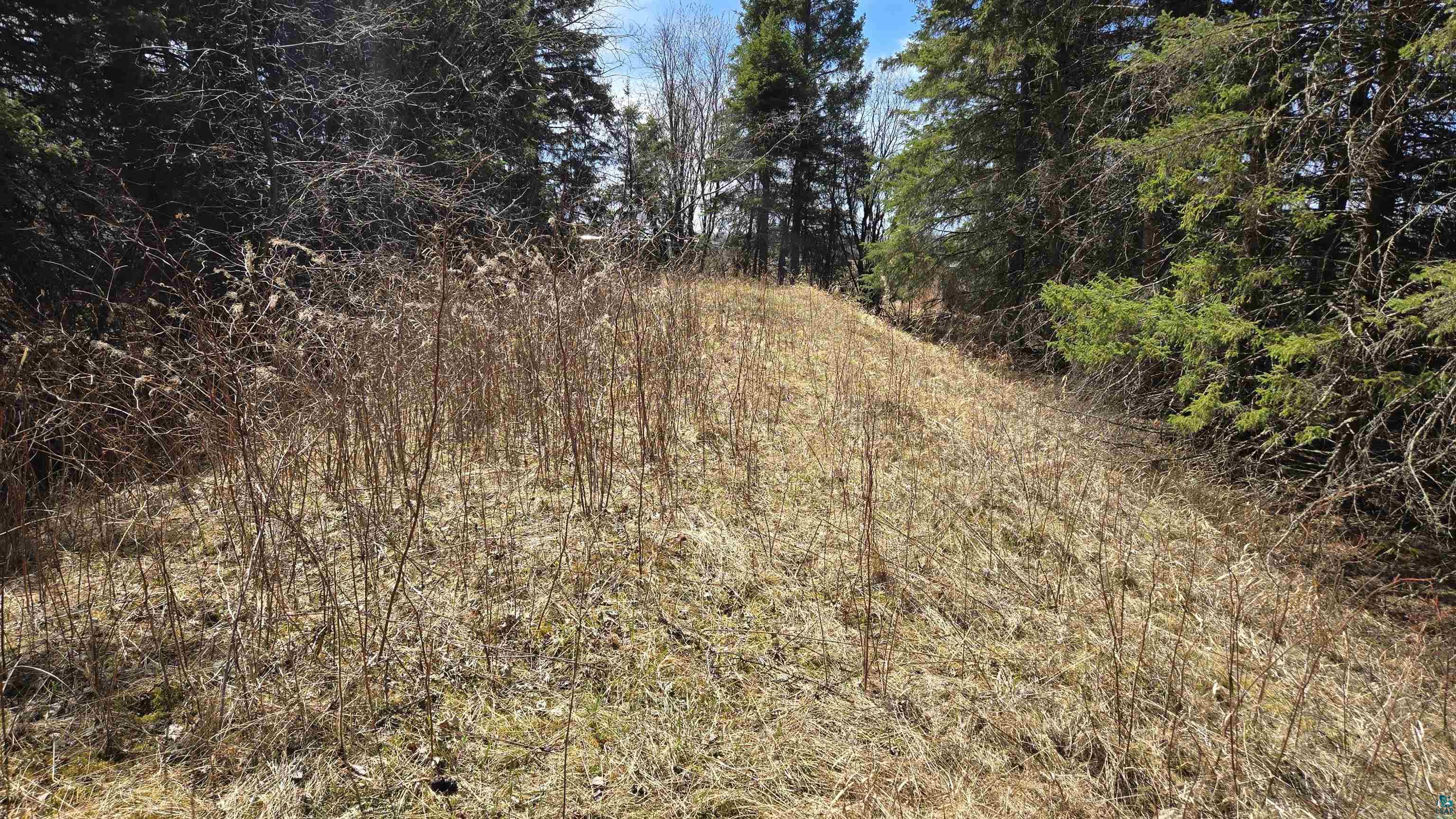 3293 South Greaney Road Orr, MN 55771 - Photo 11 of 17 Sloping terrain featuring natural vegetation and surrounding evergreen trees