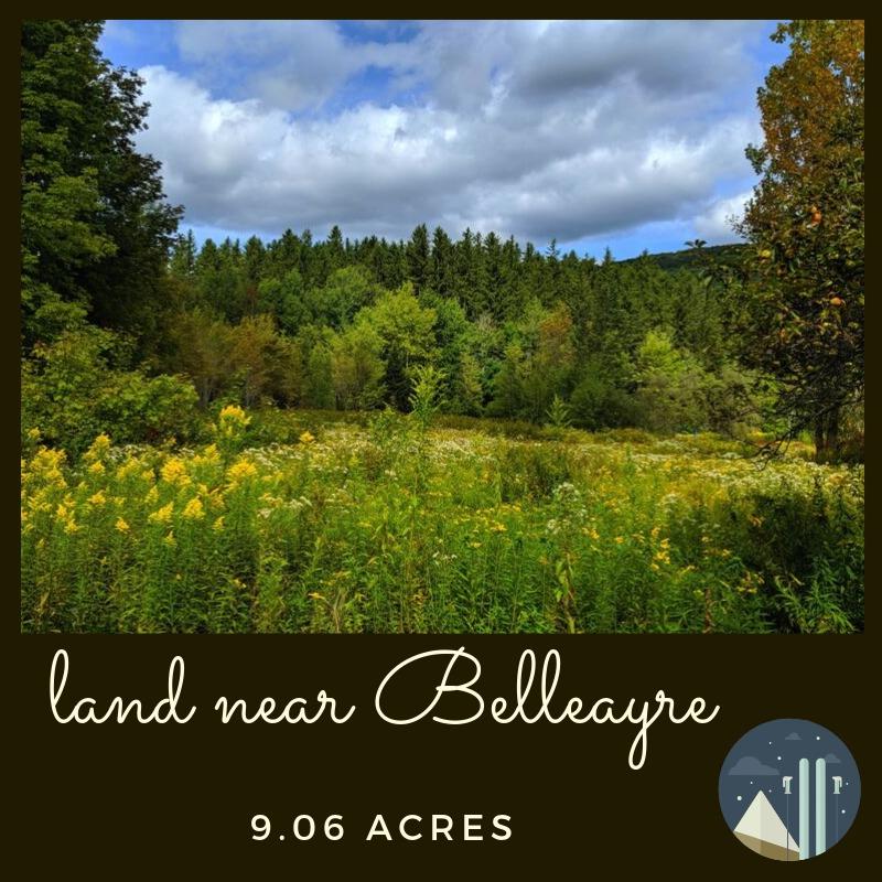 0 Brush Ridge Road Fleischmanns, NY 12430 - Photo 1 of 1 Gallery Image 1