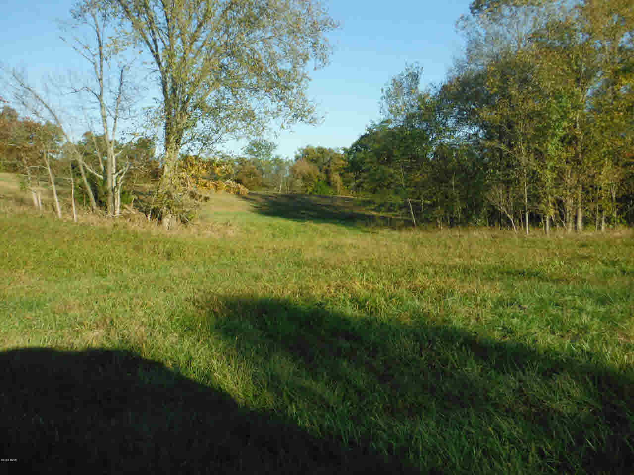 510 Potter's Road Makanda, IL 62958 - Photo 2 of 6
