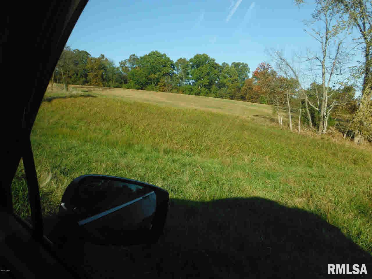 510 Potter's Road Makanda, IL 62958 - Photo 3 of 6