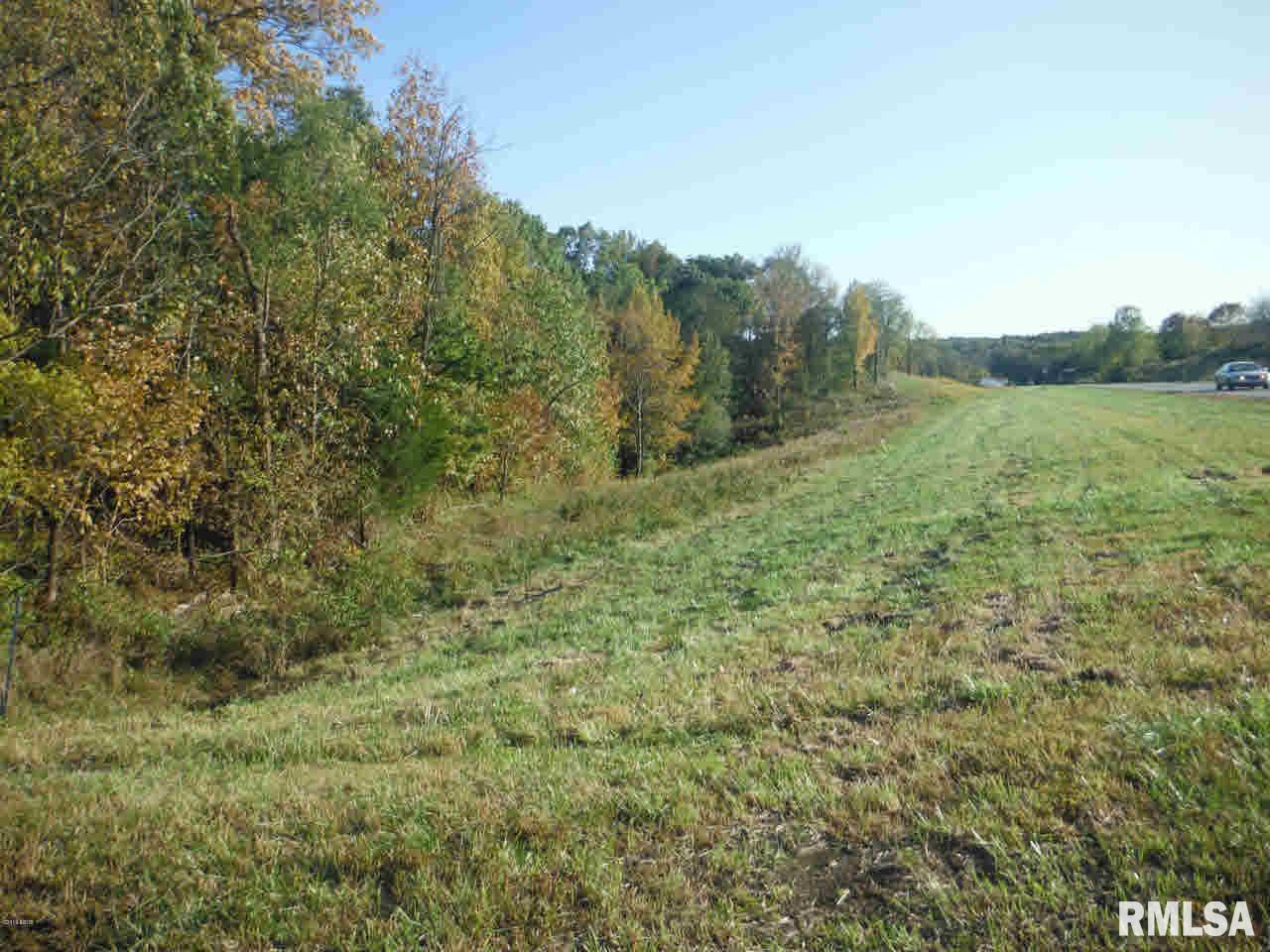 510 Potter's Road Makanda, IL 62958 - Photo 4 of 6
