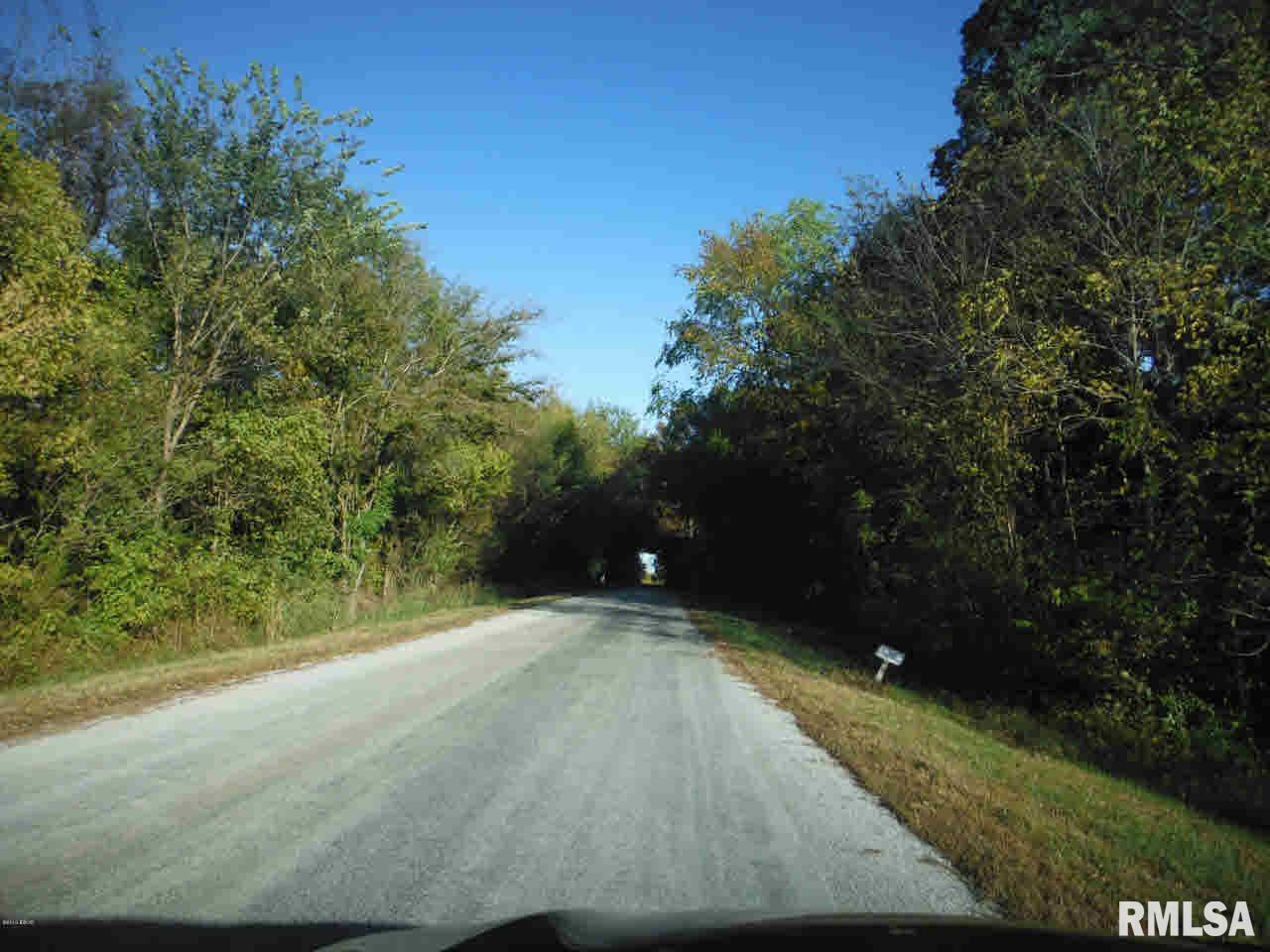 510 Potter's Road Makanda, IL 62958 - Photo 5 of 6