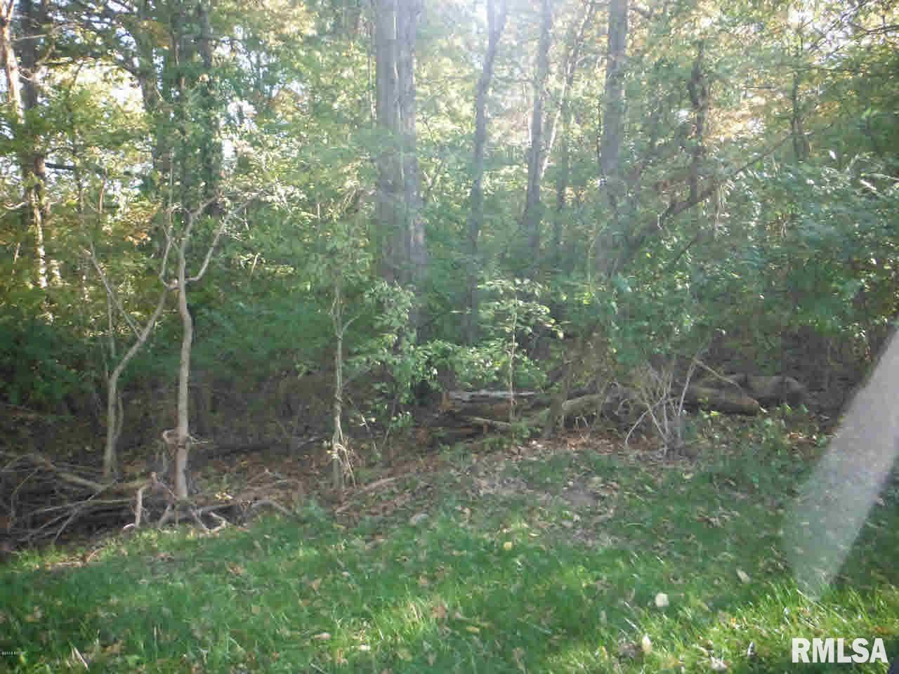510 Potter's Road Makanda, IL 62958 - Photo 6 of 6
