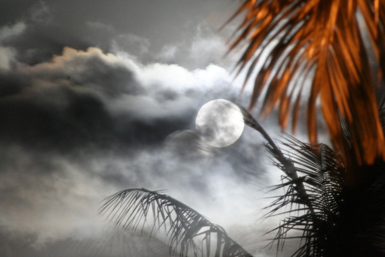 2219 South Kihei Road, Unit B102 Kihei, HI 96753 - Photo 30 of 30