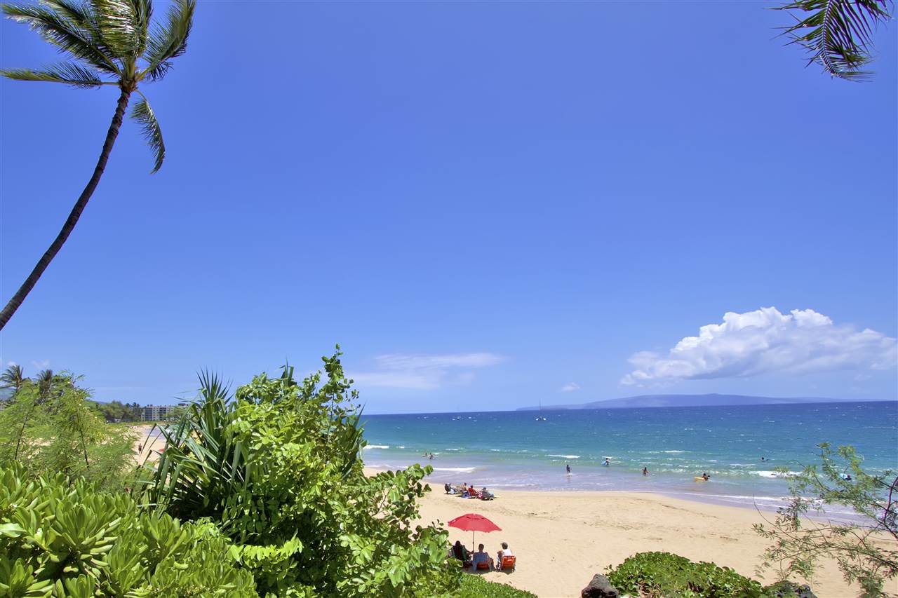 2219 South Kihei Road, Unit B102 Kihei, HI 96753 - Photo 5 of 30 a view of a yard