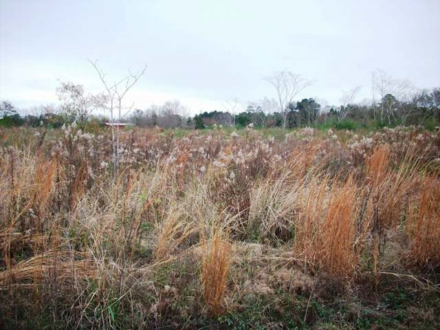 1400-block Smith Dairy Road Atmore, AL 36502 - Photo 5 of 9
