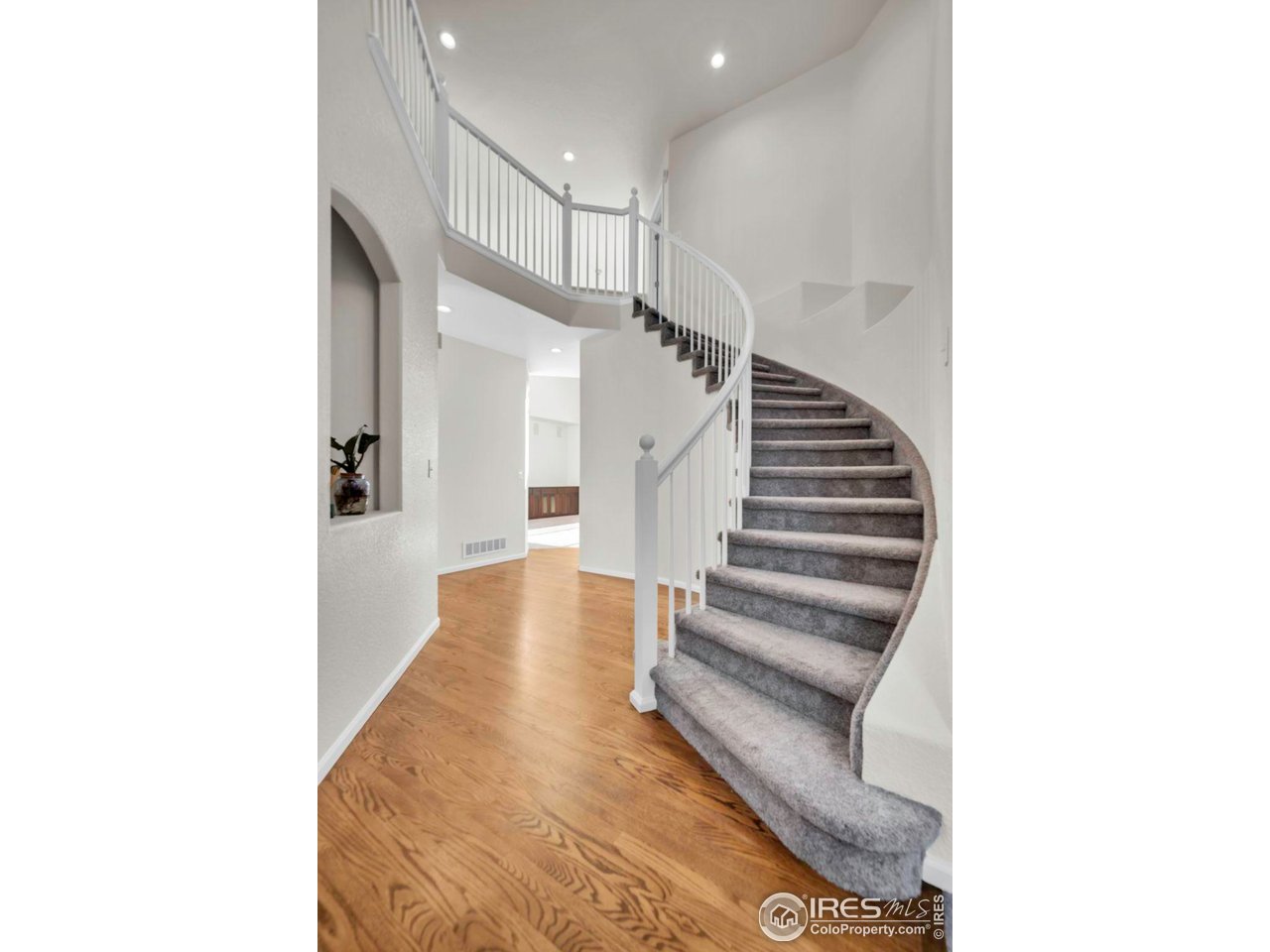 1936 Alpine Drive Erie, CO 80516 - Photo 6 of 47 a view of entryway and hall