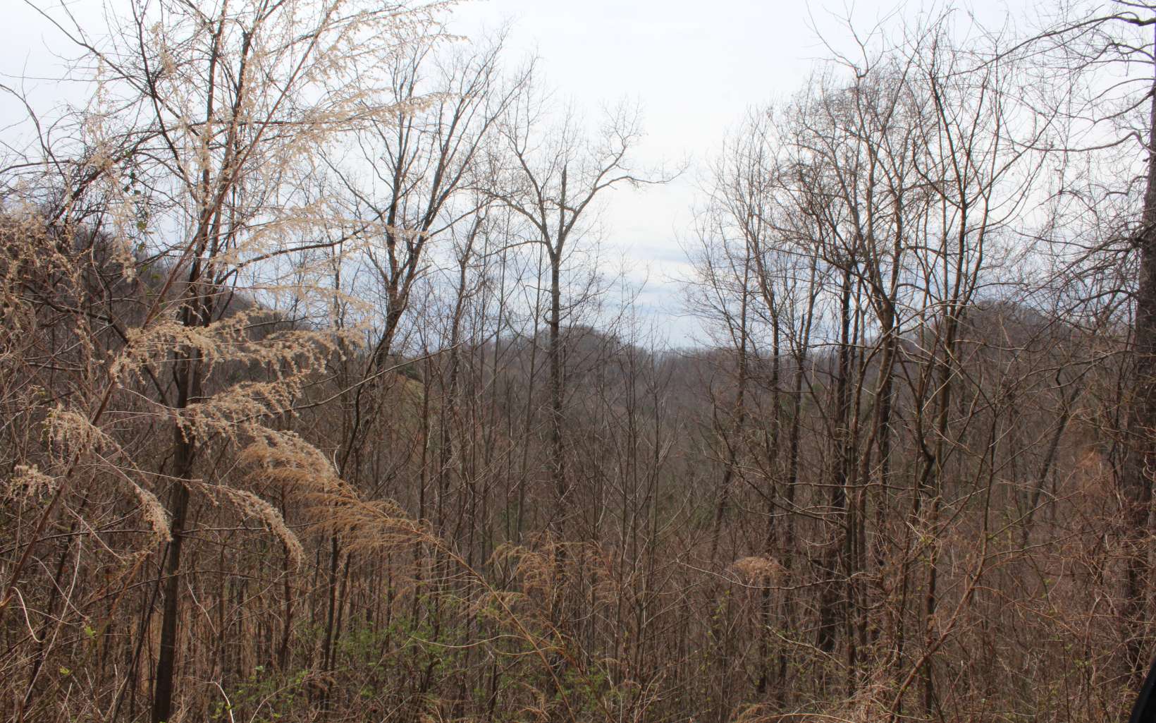21 North N Ridge Hayesville, NC 28904 - Photo 12 of 51 Additional View