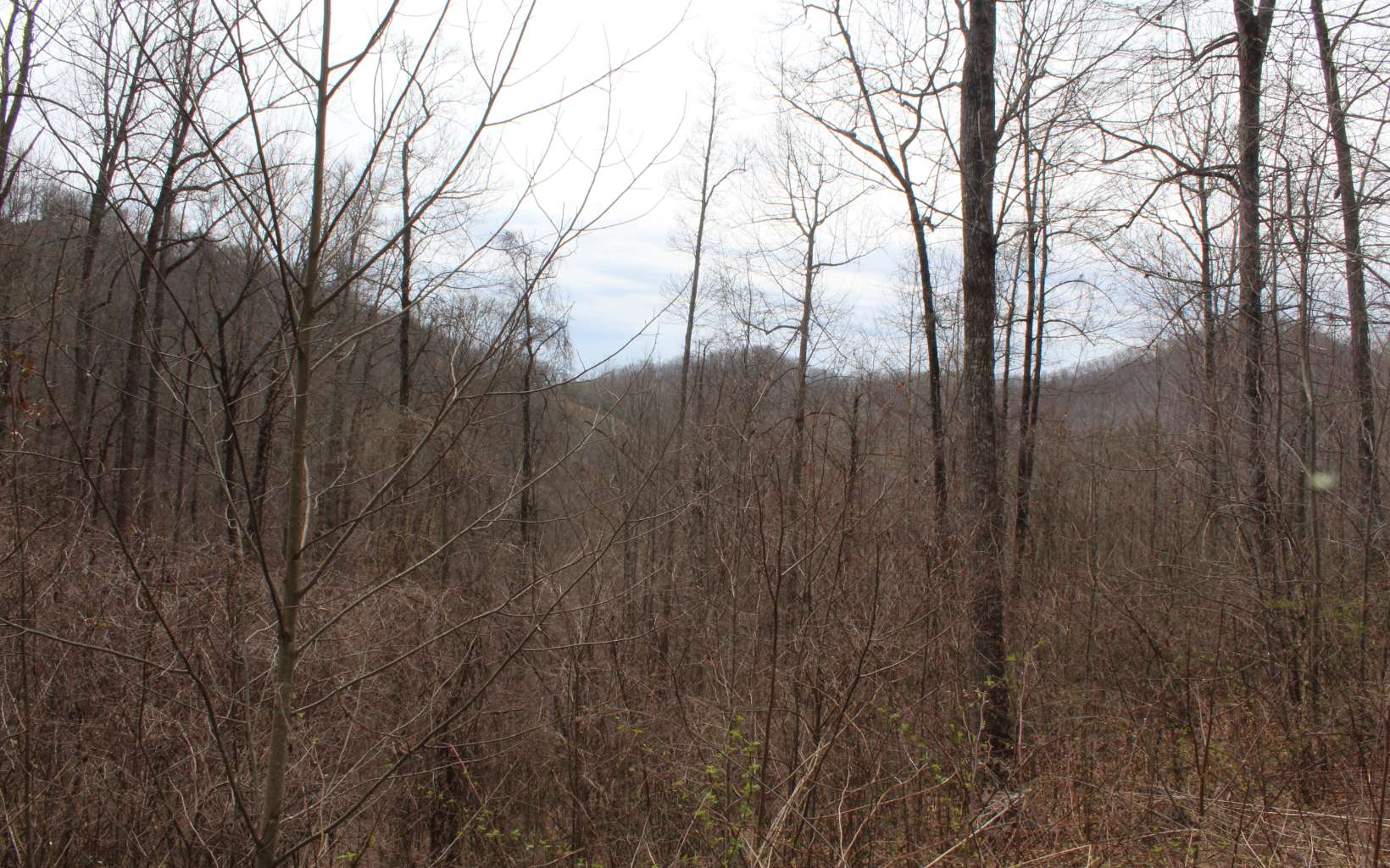 21 North N Ridge Hayesville, NC 28904 - Photo 14 of 51 Additional View