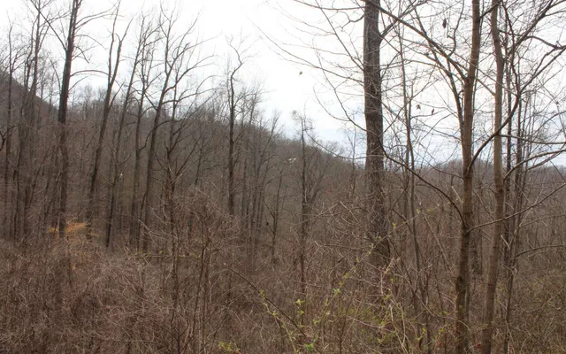 $10,000 | 21 North N Ridge, Hayesville, NC 28904