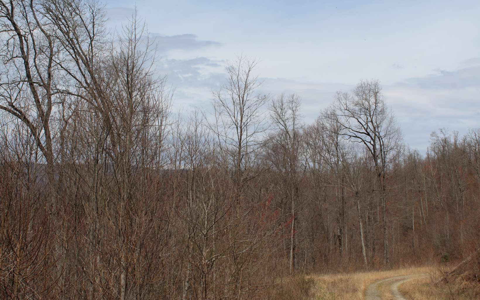 21 North N Ridge Hayesville, NC 28904 - Photo 2 of 51 Additional View