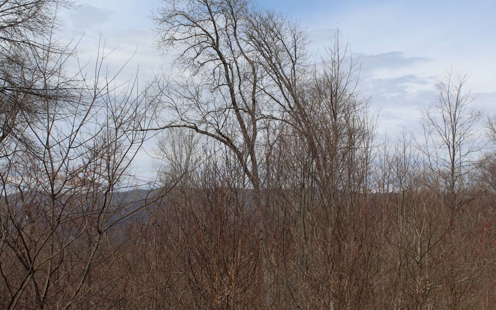 21 North N Ridge Hayesville, NC 28904 - Photo 22 of 51 Additional View