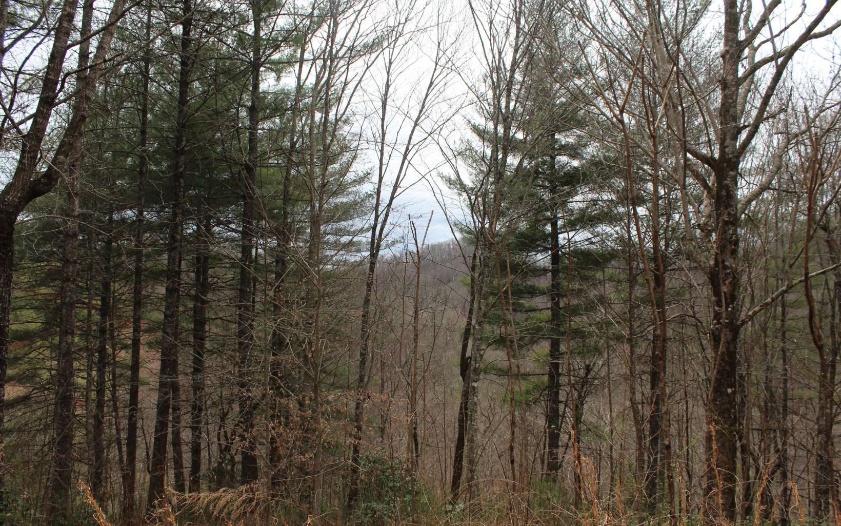 21 North N Ridge Hayesville, NC 28904 - Photo 25 of 51 Additional View