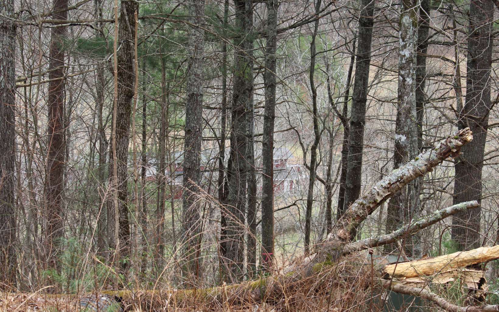 21 North N Ridge Hayesville, NC 28904 - Photo 26 of 51 Additional View