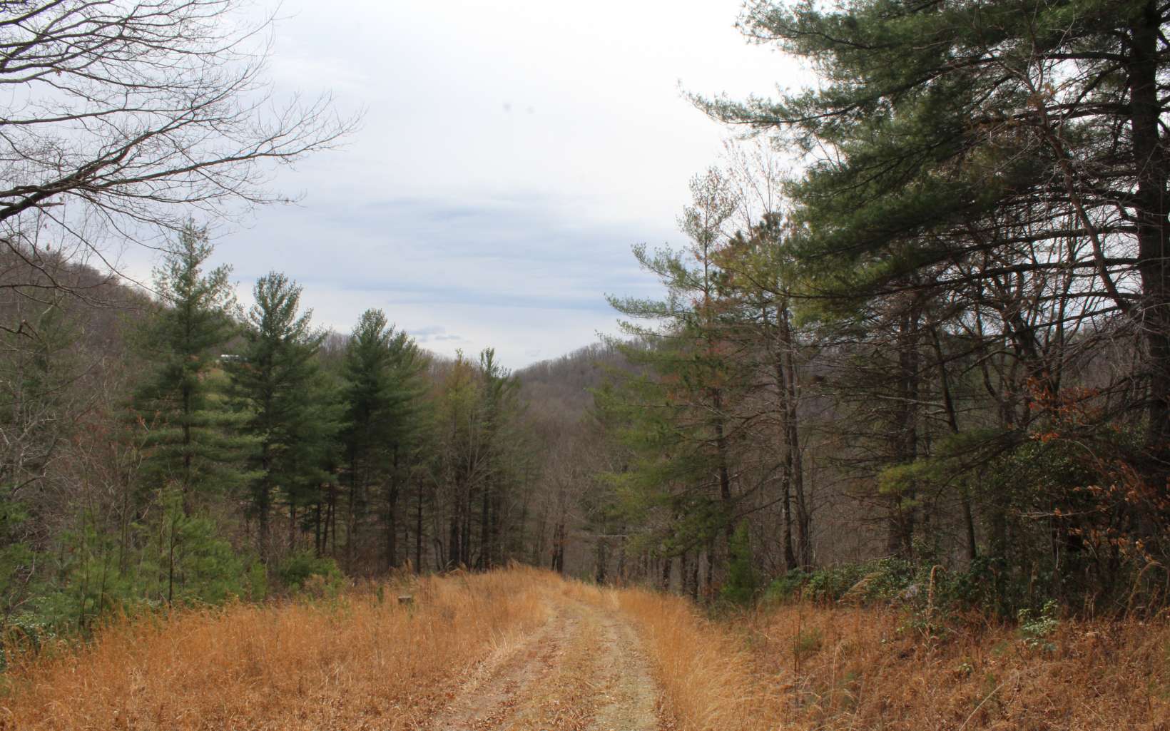21 North N Ridge Hayesville, NC 28904 - Photo 28 of 51 Additional View